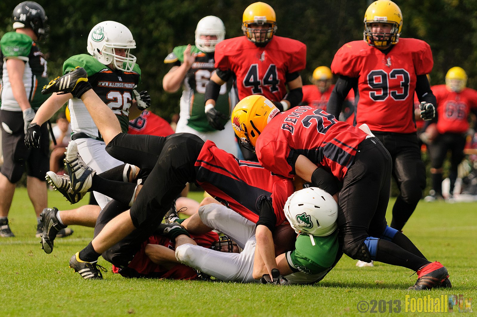 Neuss Frogs vs. Aachen Düren Demons - 21.09.2013 Neuss Frogs vs. Aachen Düren Demons (36:0) 