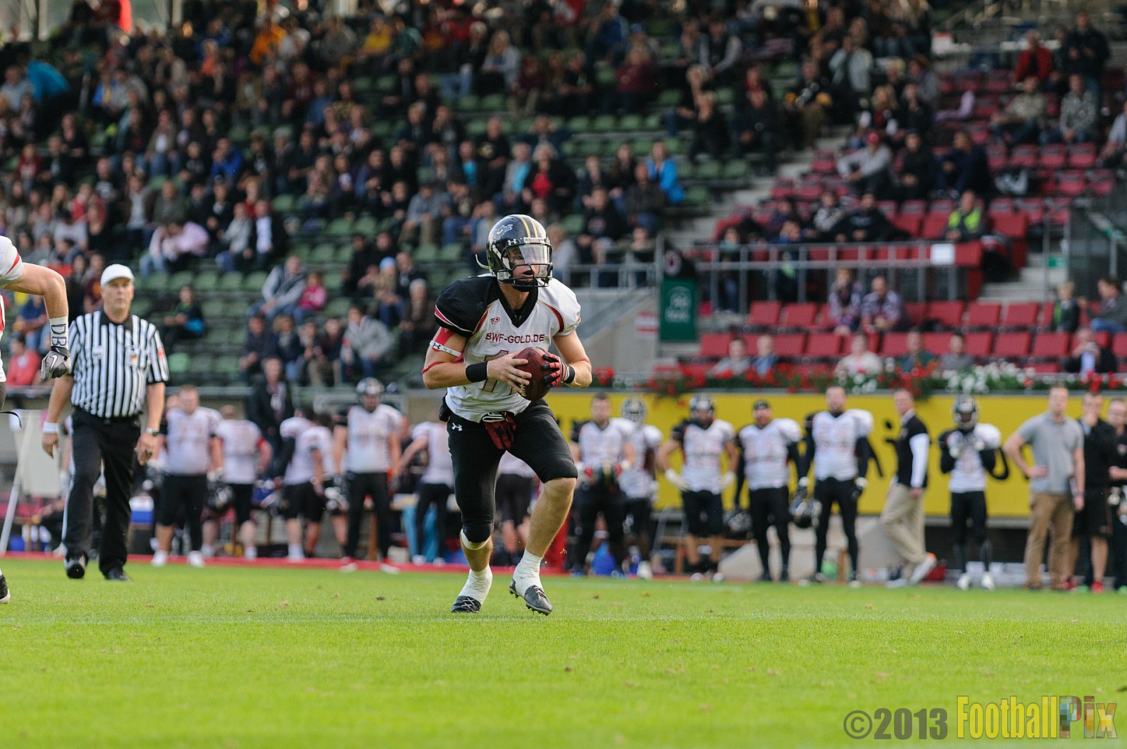 Relegationsspiel Cologne Falcons vs. Bielefeld Bulldogs - 21.09.2013 GFL Nord: Relegationsspiel Cologne Falcons vs. Bielefeld Bulldogs (42:30) 