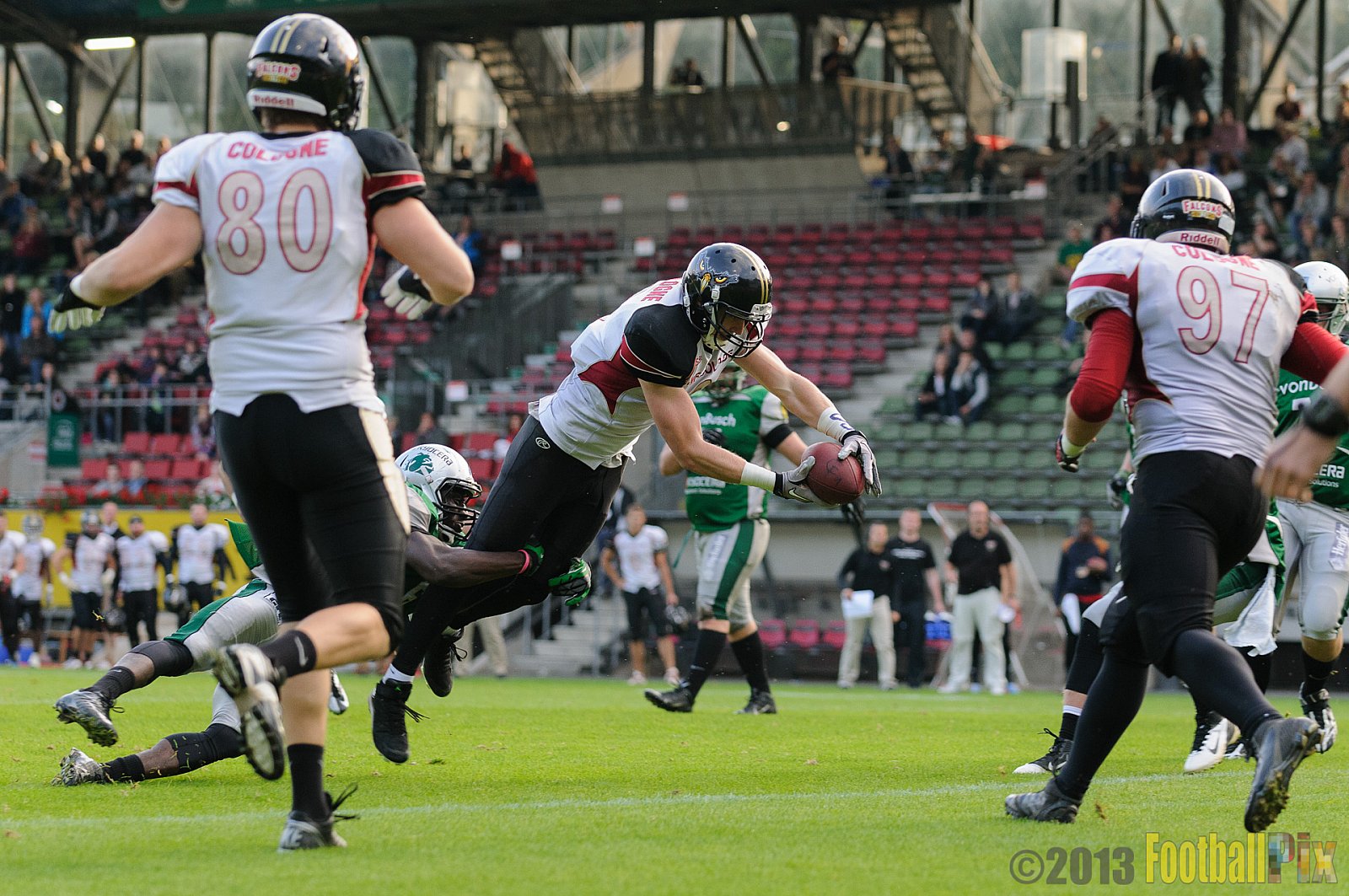 Relegationsspiel Cologne Falcons vs. Bielefeld Bulldogs - 21.09.2013 GFL Nord: Relegationsspiel Cologne Falcons vs. Bielefeld Bulldogs (42:30) 