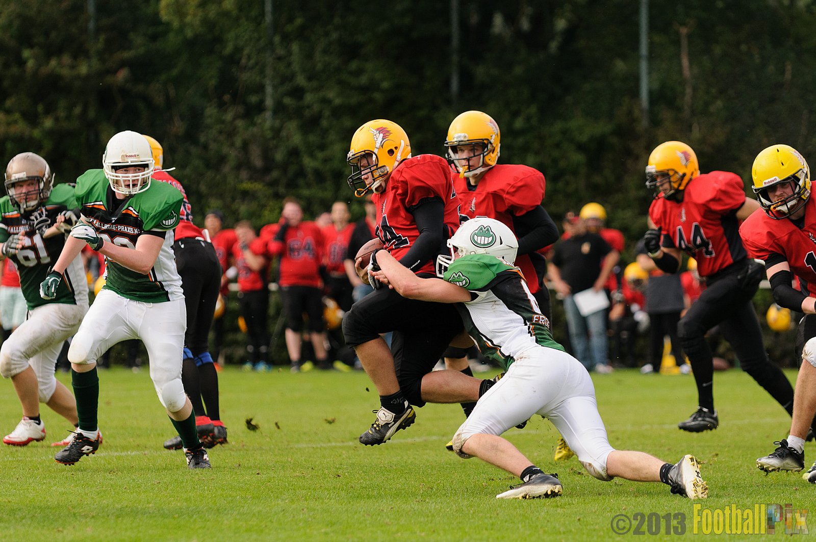 Neuss Frogs vs. Aachen Düren Demons - 21.09.2013 Neuss Frogs vs. Aachen Düren Demons (36:0) 