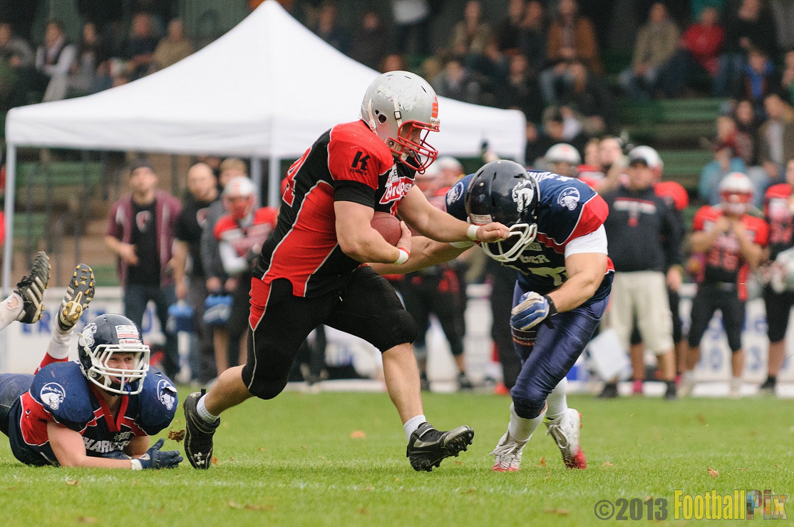 Solingen Paladins vs. Recklinghausen Chargers - 05.10.2013 Solingen Paladins vs. Recklinghausen Chargers (31:0) 