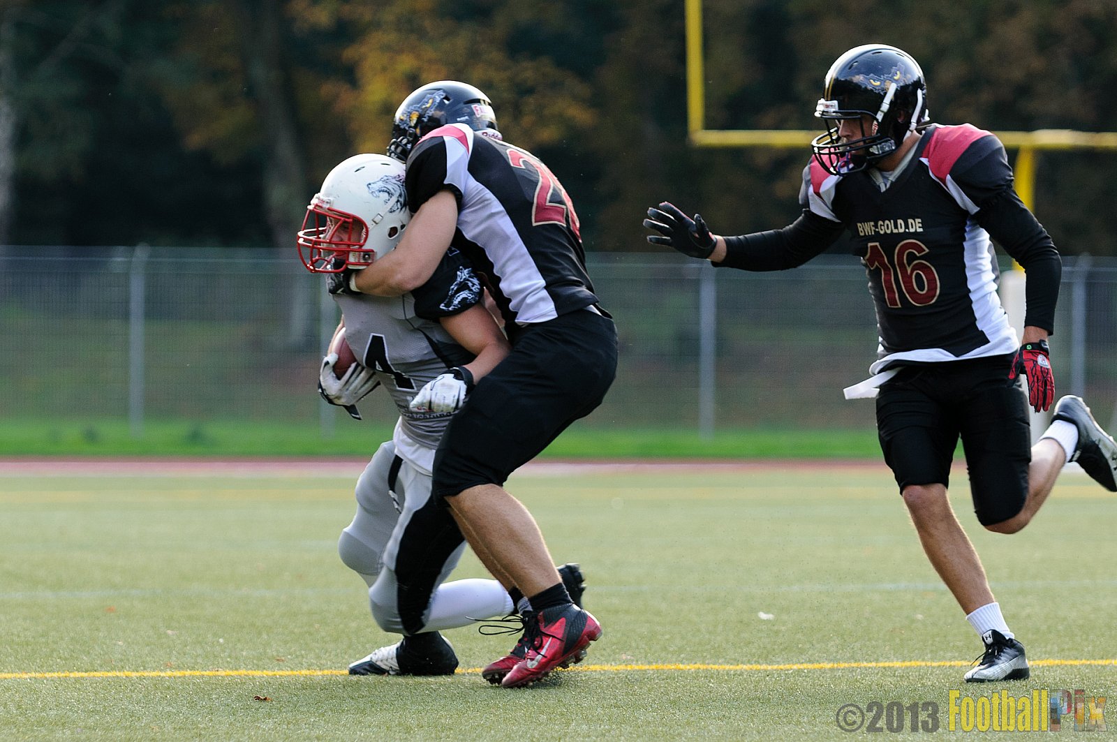 Cologne Falcons II vs. Mönchengladbach Wolfpack - 06.10.2013 Cologne Falcons II vs. Mönchengladbach Wolfpack (30:20) 