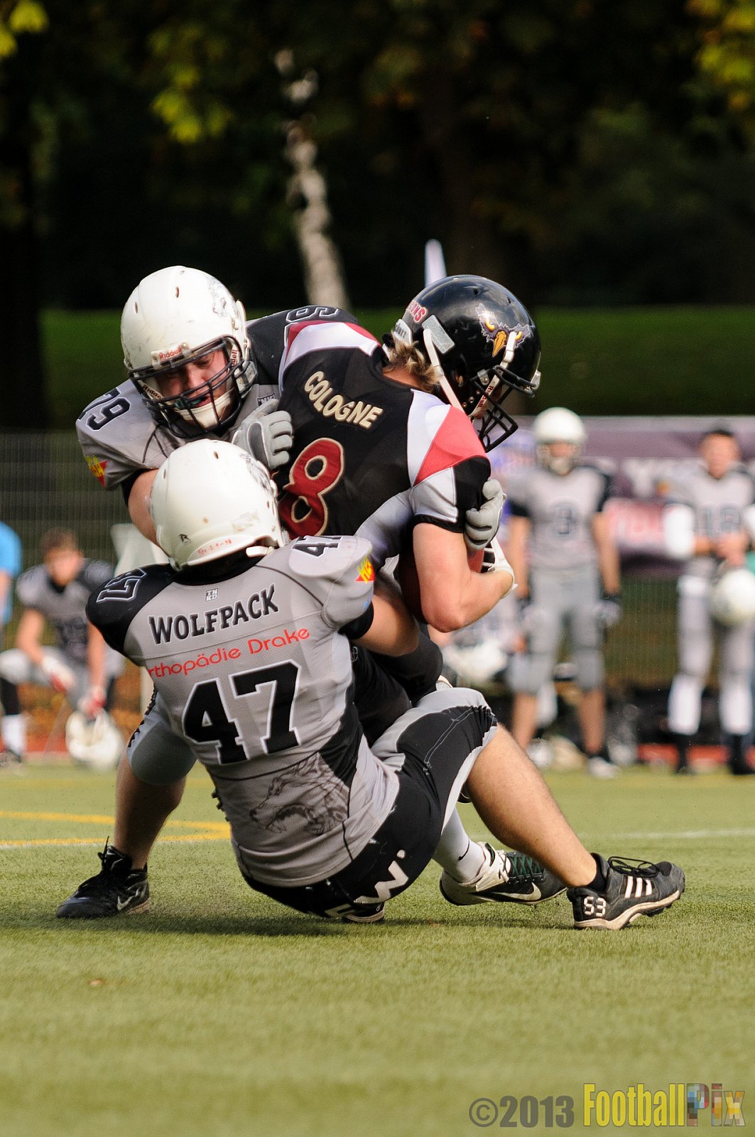 Cologne Falcons II vs. Mönchengladbach Wolfpack - 06.10.2013 Cologne Falcons II vs. Mönchengladbach Wolfpack (30:20) 
