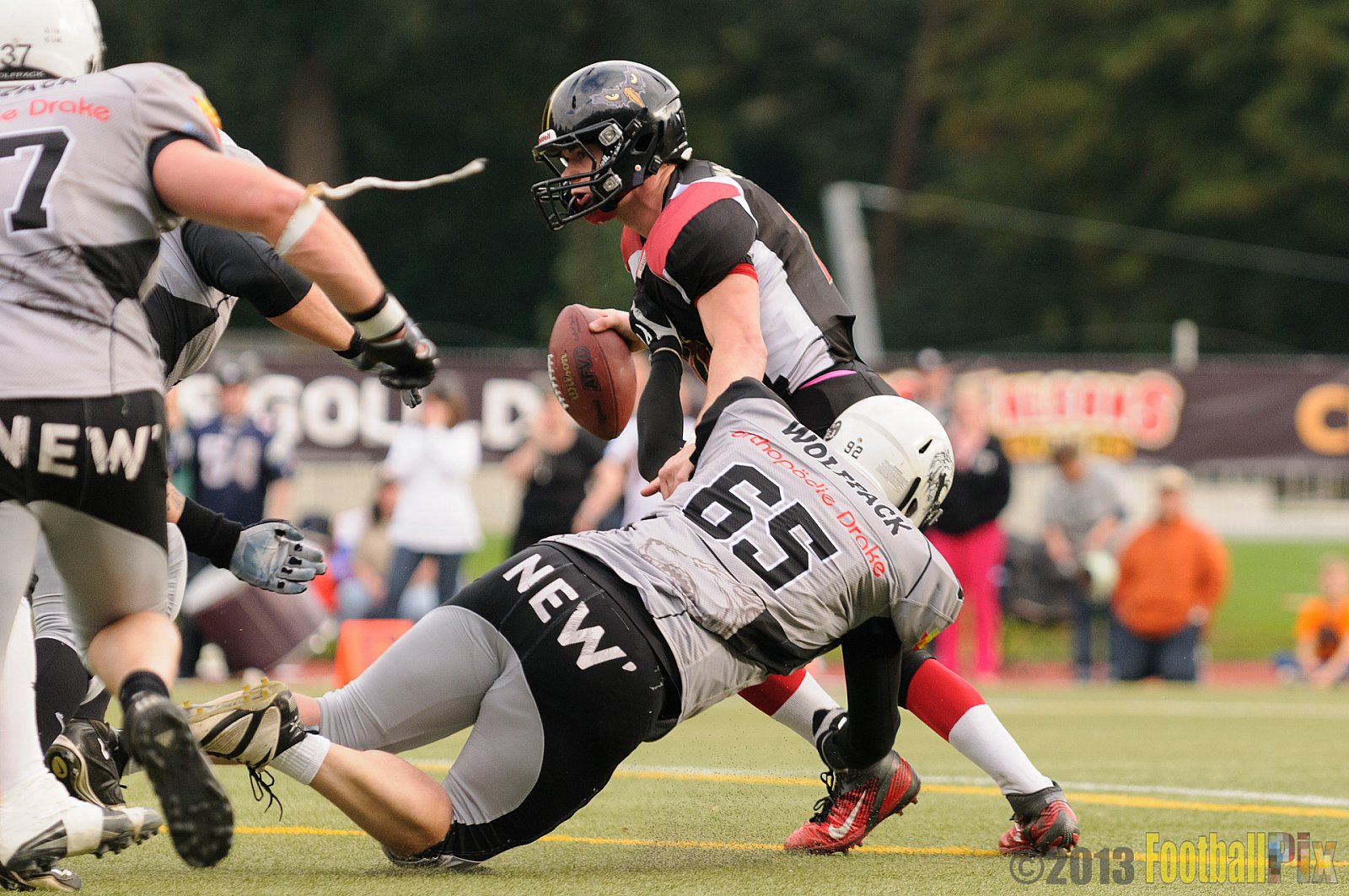 Cologne Falcons II vs. Mönchengladbach Wolfpack - 06.10.2013 Cologne Falcons II vs. Mönchengladbach Wolfpack (30:20) 
