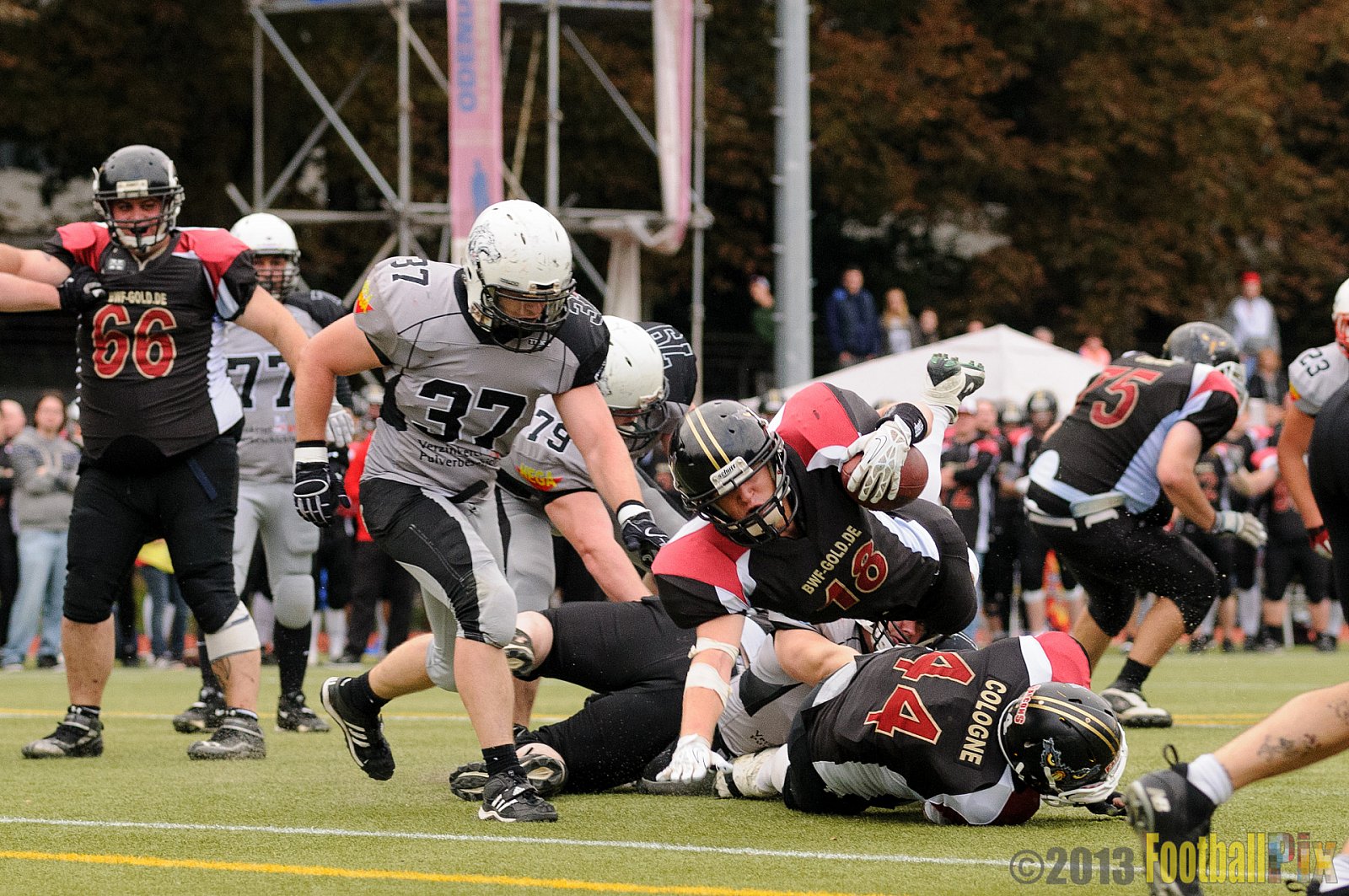 Cologne Falcons II vs. Mönchengladbach Wolfpack - 06.10.2013 Cologne Falcons II vs. Mönchengladbach Wolfpack (30:20) 