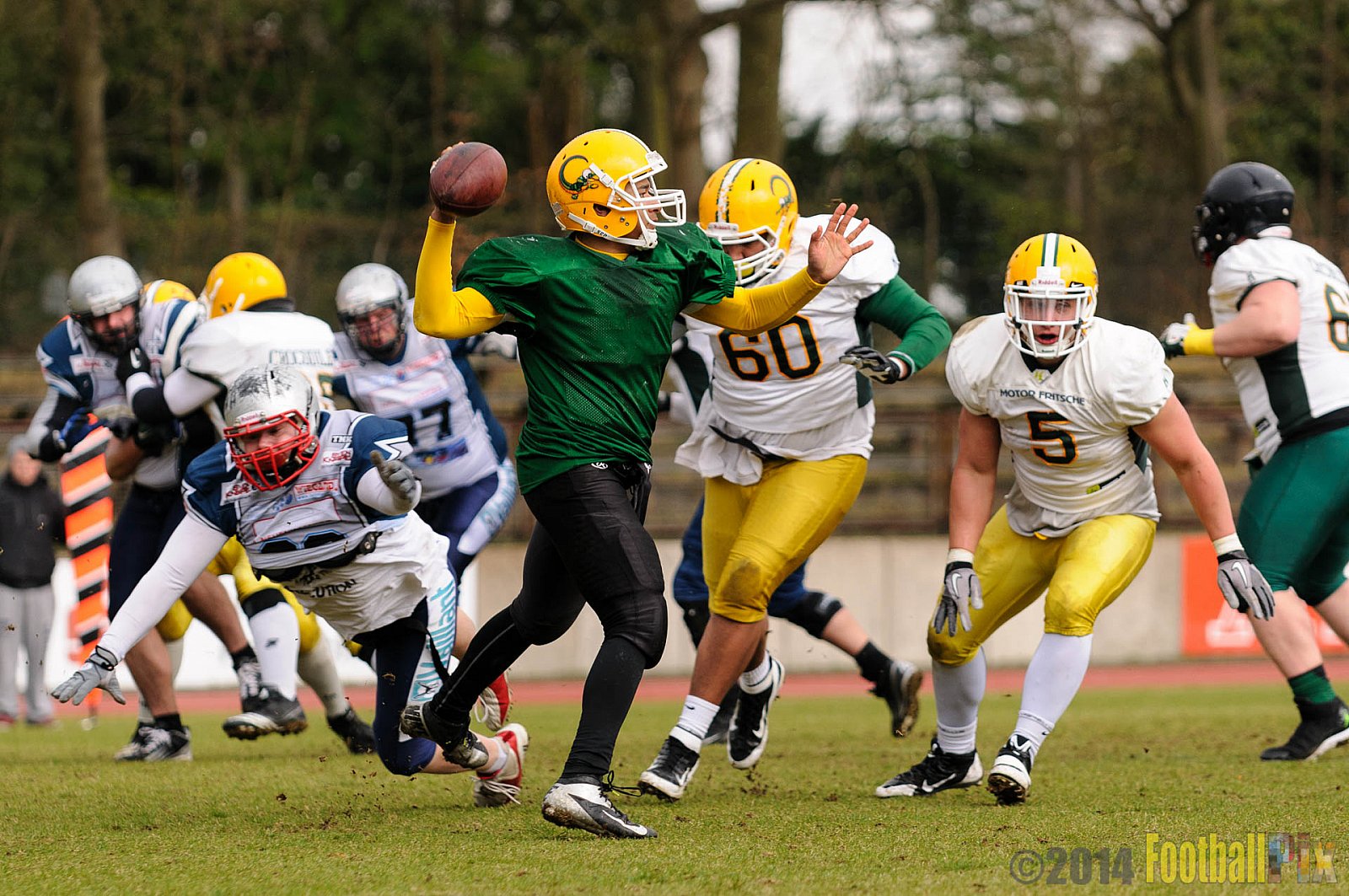 Scrimmage Remscheid Amboss, Cologne Crocodiles - 23.03.2014 Scrimmage Remscheid Amboss vs. Cologne Crocodiles 
