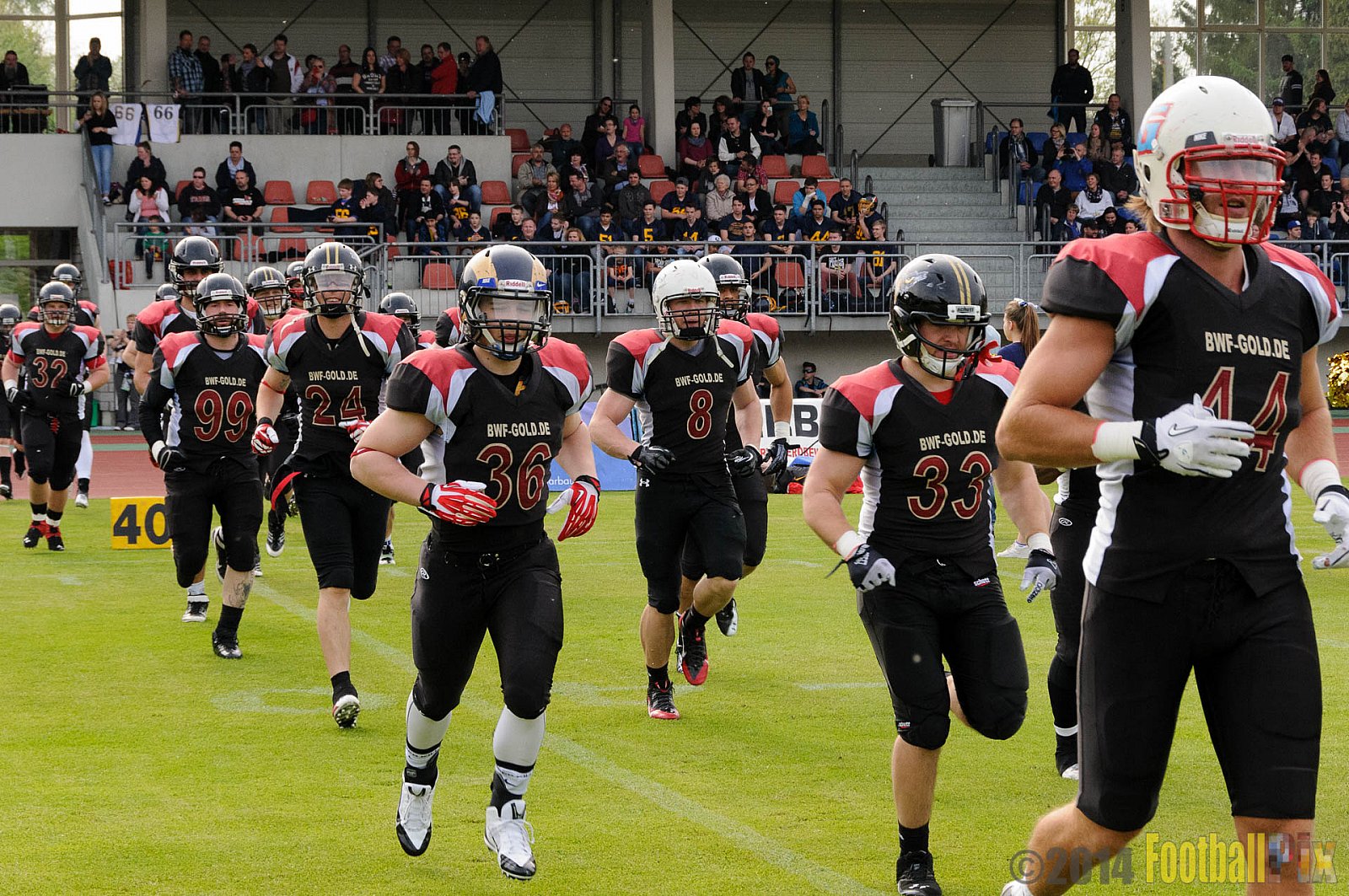 Essen Assindia Cardinals vs. Köln Falcons - 12.04.2014 Essen Assindia Cardinals vs. Köln Falcons (9:61)