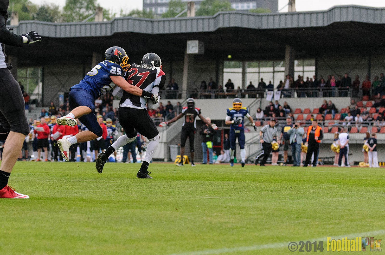 Essen Assindia Cardinals vs. Köln Falcons - 12.04.2014 Essen Assindia Cardinals vs. Köln Falcons (9:61)