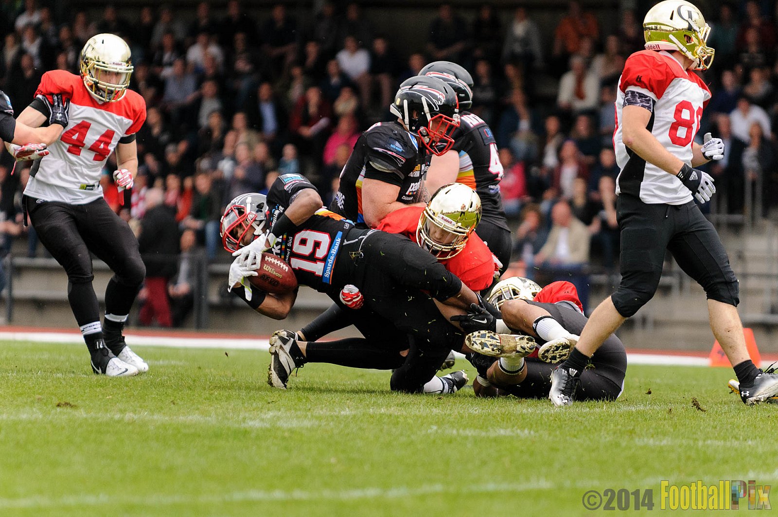 Düsseldorf Panther vs. Köln Falcons - 26.04.2014 GFL Nord: Düsseldorf Panther vs. Köln Falcons (25:27)