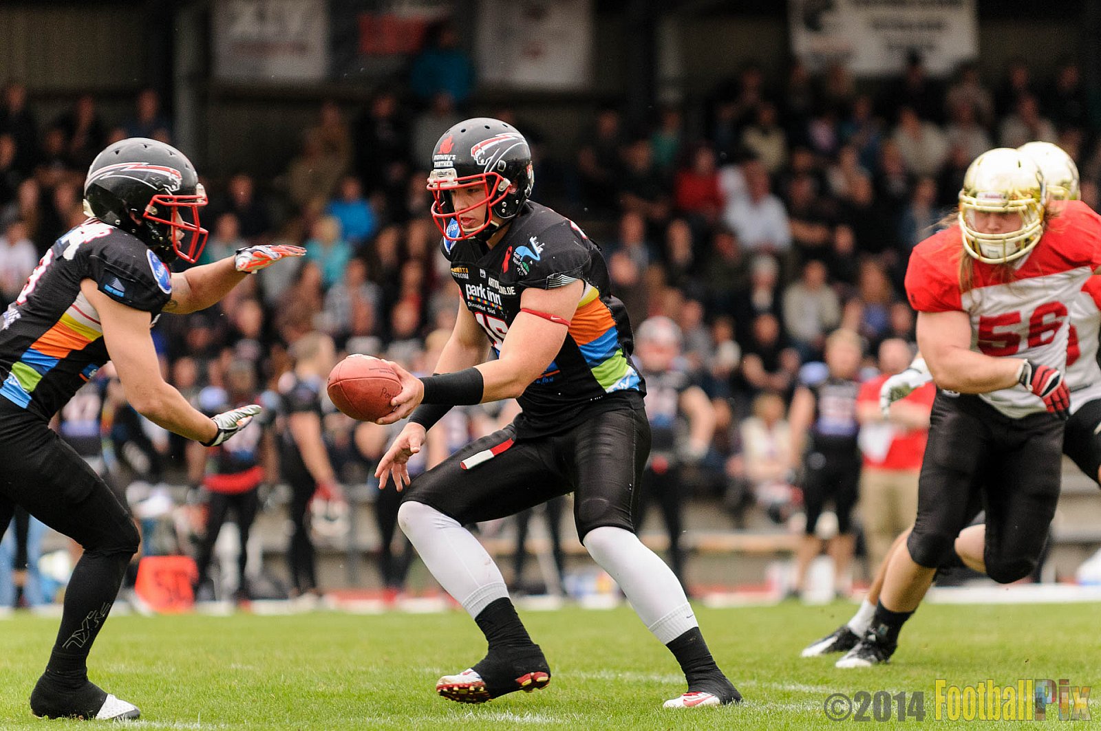 Düsseldorf Panther vs. Köln Falcons - 26.04.2014 GFL Nord: Düsseldorf Panther vs. Köln Falcons (25:27)