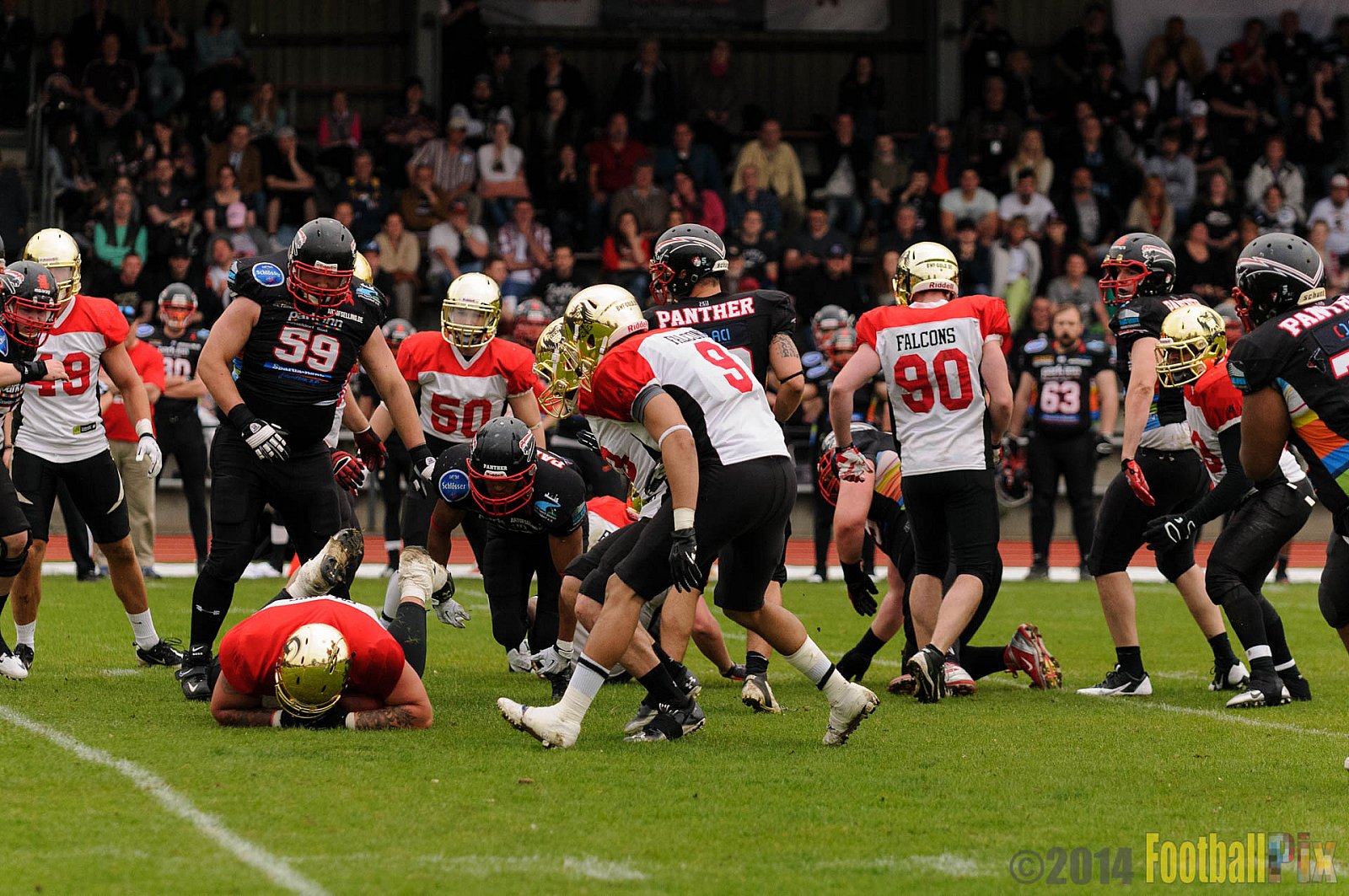 Düsseldorf Panther vs. Köln Falcons - 26.04.2014 GFL Nord: Düsseldorf Panther vs. Köln Falcons (25:27)
