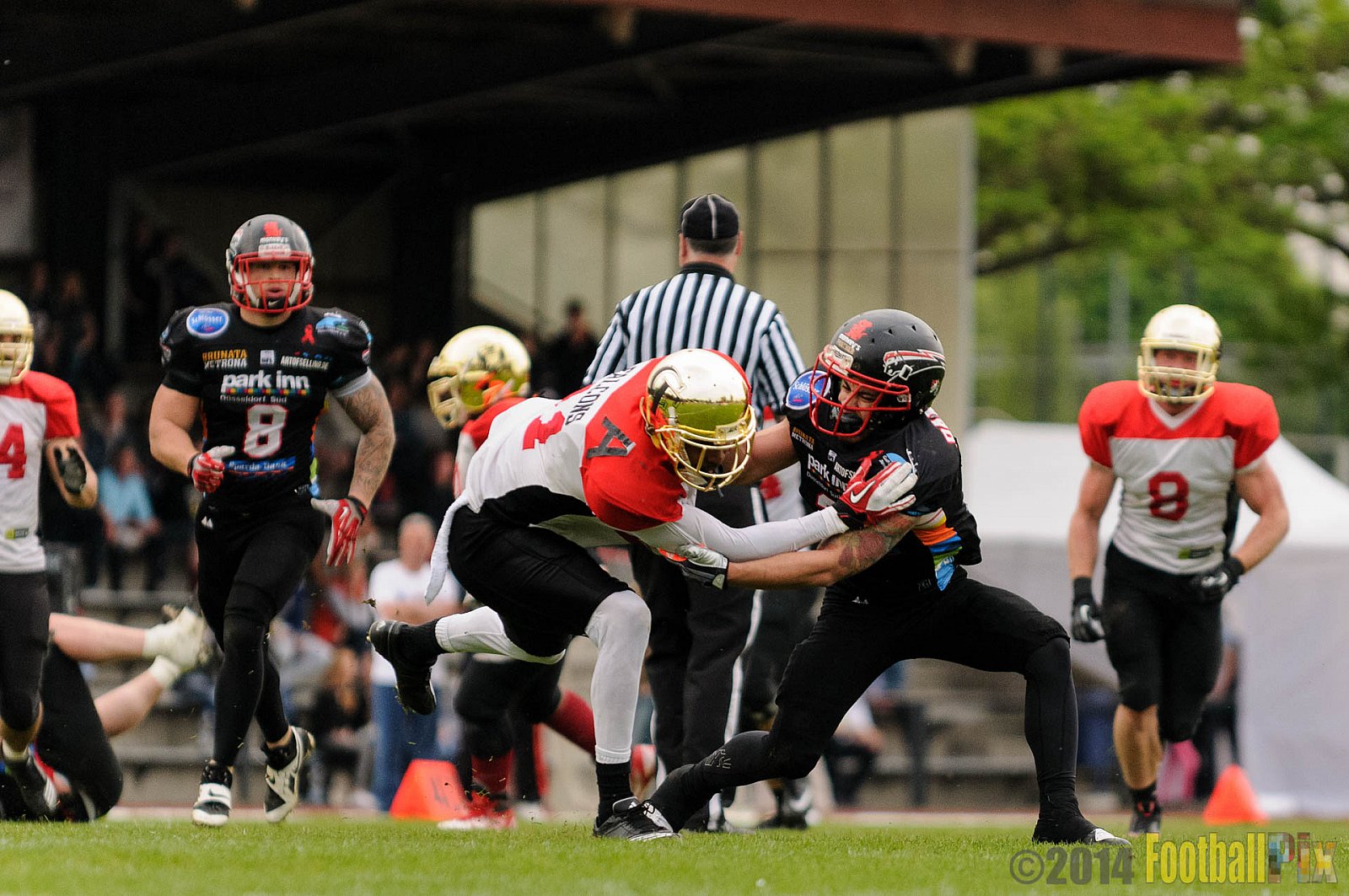 Düsseldorf Panther vs. Köln Falcons - 26.04.2014 GFL Nord: Düsseldorf Panther vs. Köln Falcons (25:27)
