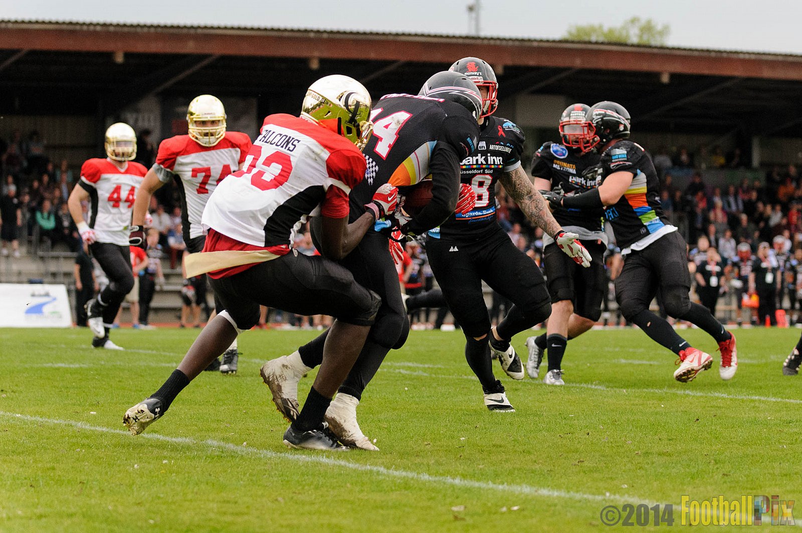 Düsseldorf Panther vs. Köln Falcons - 26.04.2014 GFL Nord: Düsseldorf Panther vs. Köln Falcons (25:27)