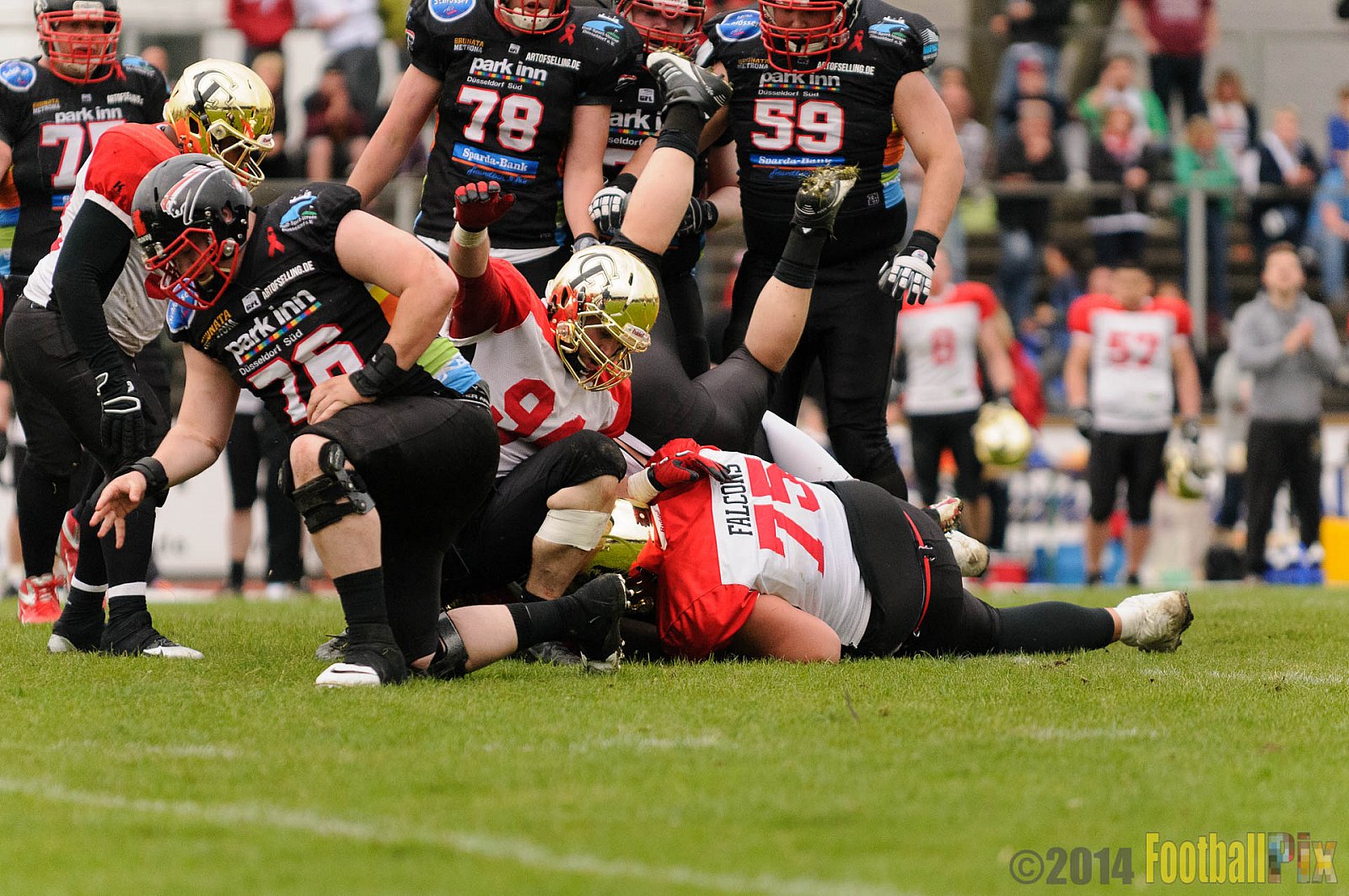 Düsseldorf Panther vs. Köln Falcons - 26.04.2014 GFL Nord: Düsseldorf Panther vs. Köln Falcons (25:27)