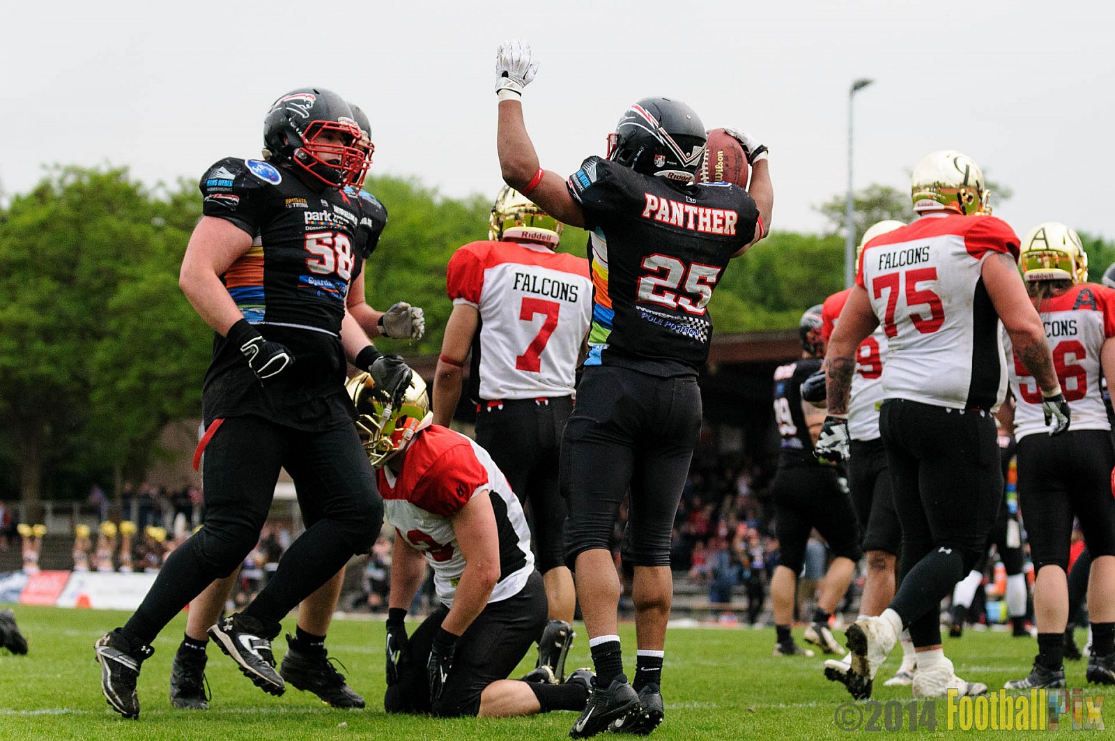 Düsseldorf Panther vs. Köln Falcons - 26.04.2014 GFL Nord: Düsseldorf Panther vs. Köln Falcons (25:27)