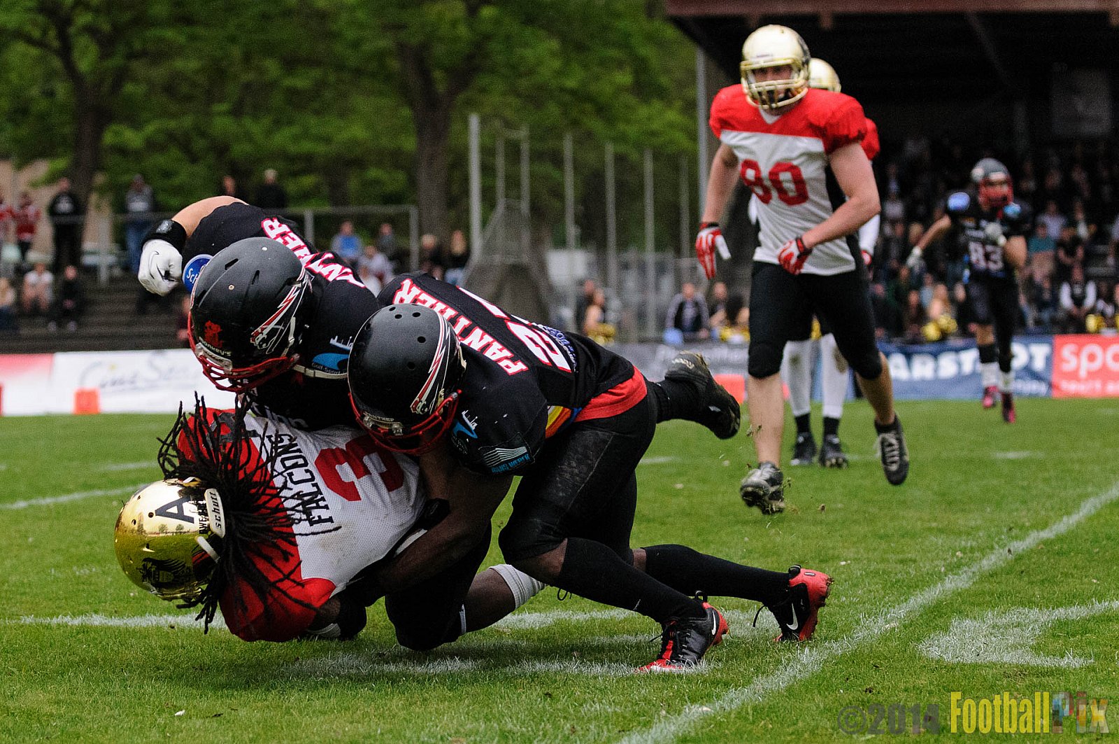 Düsseldorf Panther vs. Köln Falcons - 26.04.2014 GFL Nord: Düsseldorf Panther vs. Köln Falcons (25:27)