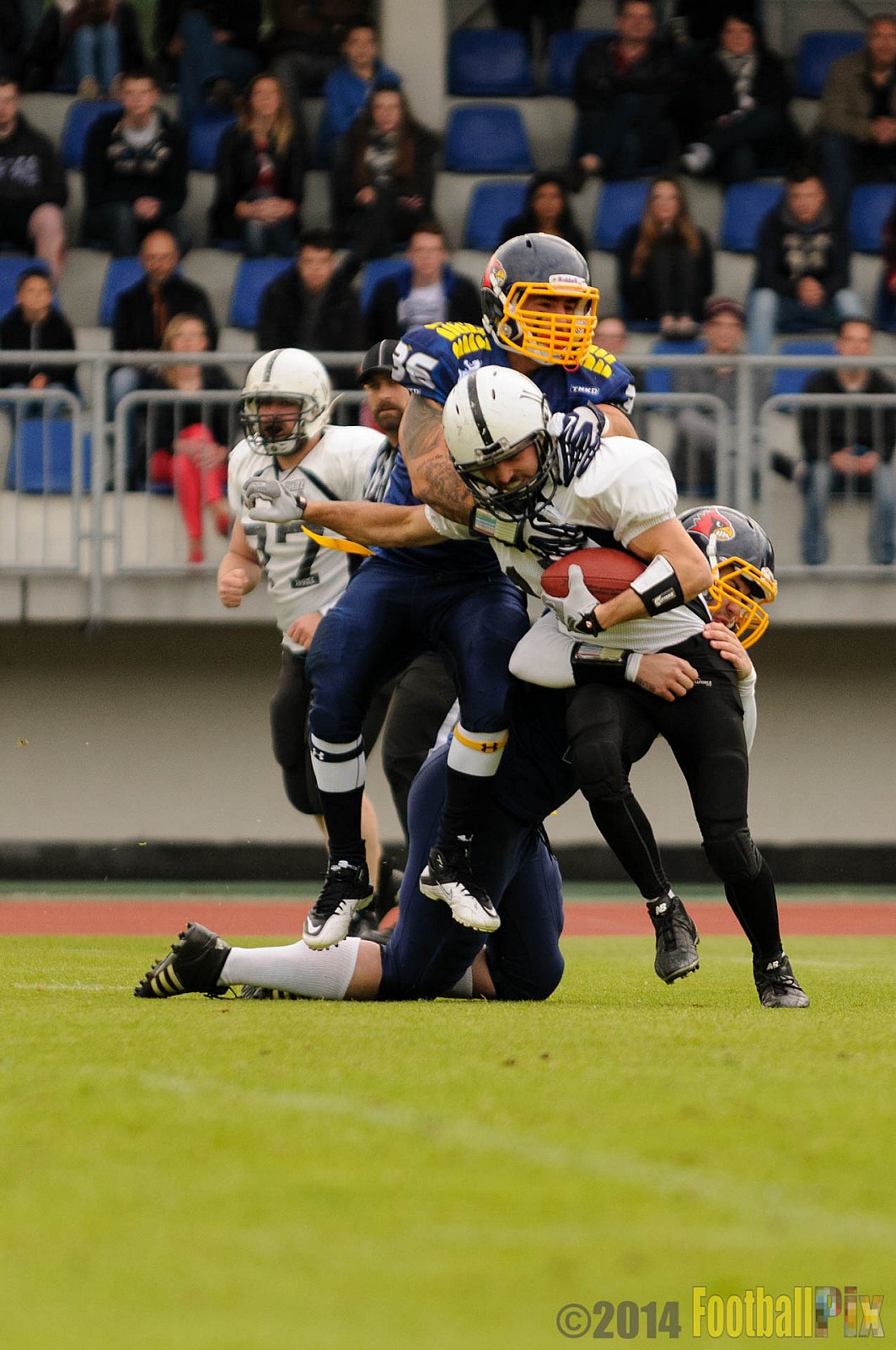 Essen Assindia Cardinals vs. Aachen Vampires - 03.05.2014 Essen Assindia Cardinals vs. Aachen Vampires (81:0)