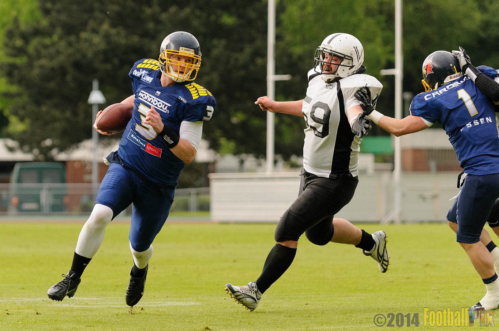 Essen Assindia Cardinals vs. Aachen Vampires - 03.05.2014 Essen Assindia Cardinals vs. Aachen Vampires (81:0)