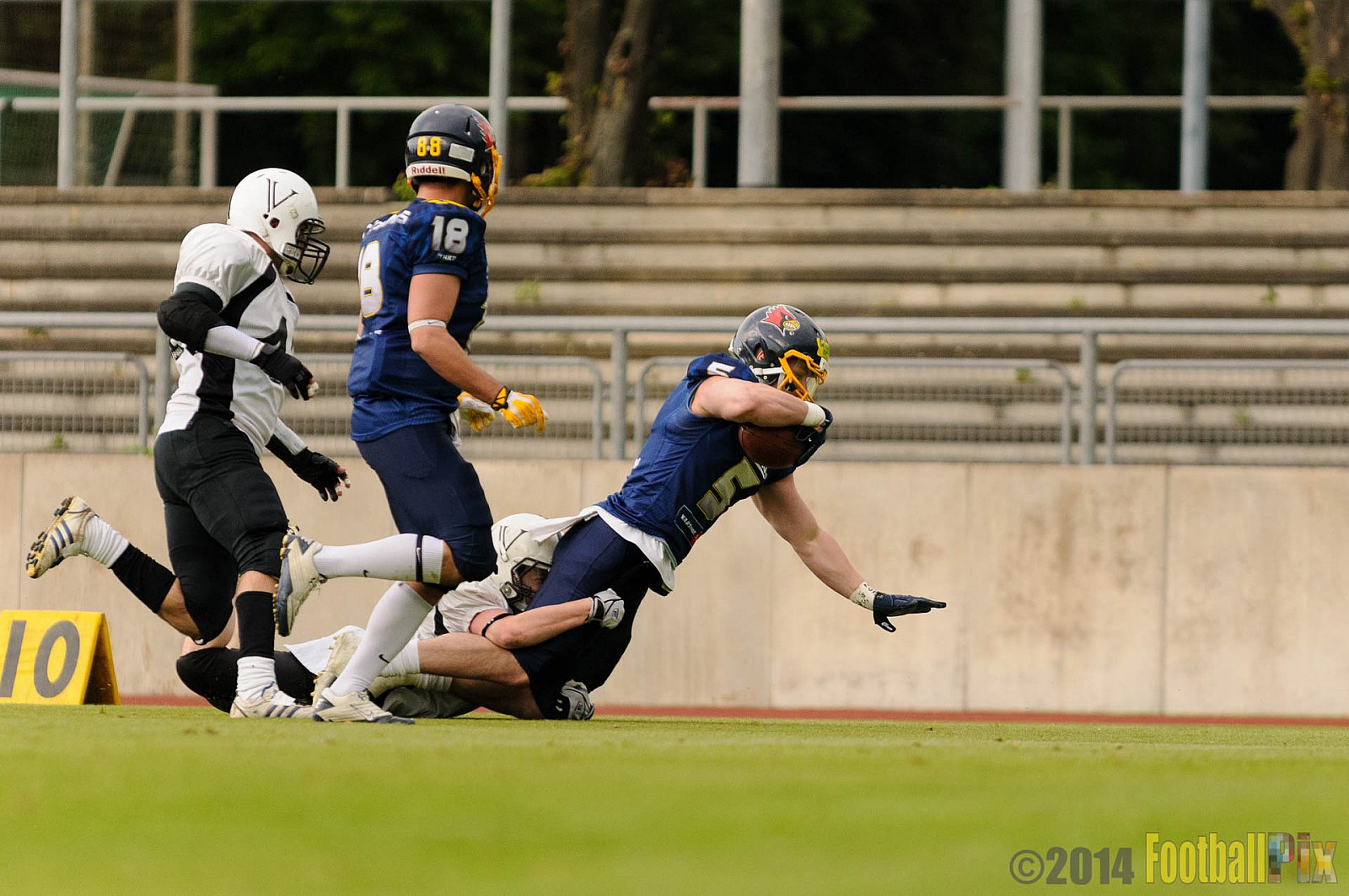 Essen Assindia Cardinals vs. Aachen Vampires - 03.05.2014 Essen Assindia Cardinals vs. Aachen Vampires (81:0)