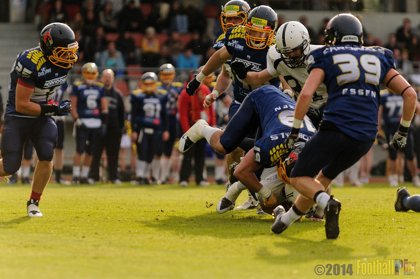 Essen Assindia Cardinals vs. Aachen Vampires - 03.05.2014 Essen Assindia Cardinals vs. Aachen Vampires (81:0)
