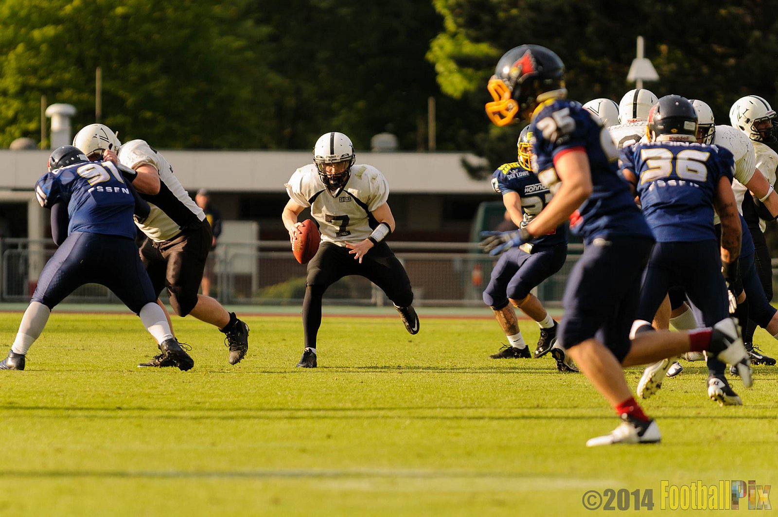 Essen Assindia Cardinals vs. Aachen Vampires - 03.05.2014 Essen Assindia Cardinals vs. Aachen Vampires (81:0)