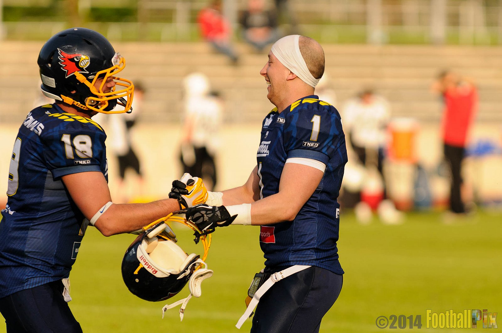 Essen Assindia Cardinals vs. Aachen Vampires - 03.05.2014 Essen Assindia Cardinals vs. Aachen Vampires (81:0)