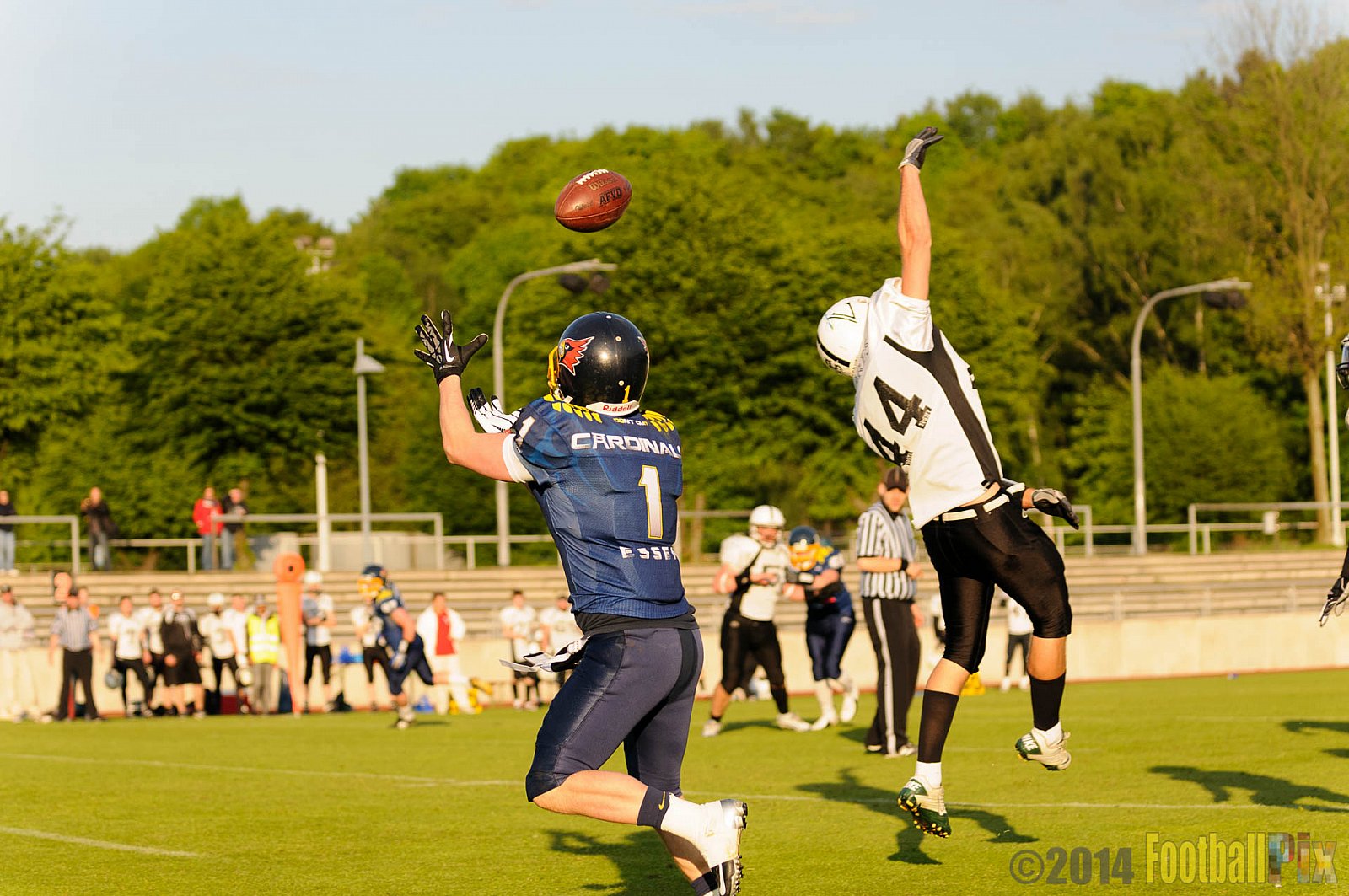 Essen Assindia Cardinals vs. Aachen Vampires - 03.05.2014 Essen Assindia Cardinals vs. Aachen Vampires (81:0)