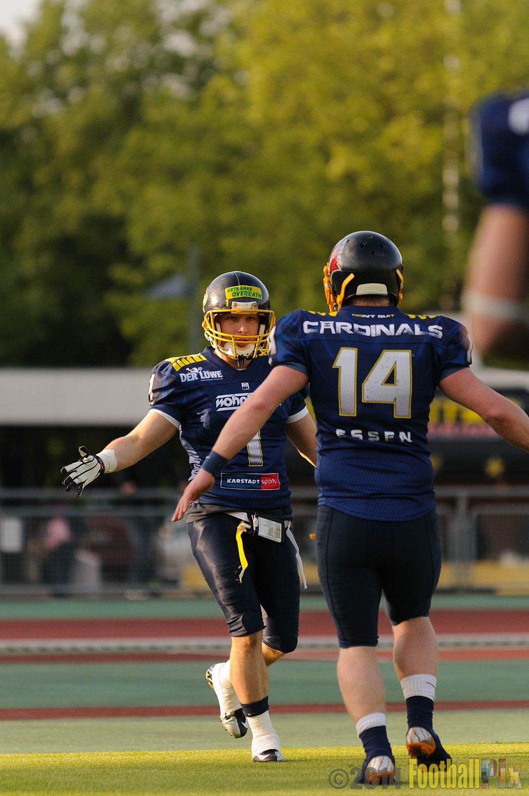Essen Assindia Cardinals vs. Aachen Vampires - 03.05.2014 Essen Assindia Cardinals vs. Aachen Vampires (81:0)