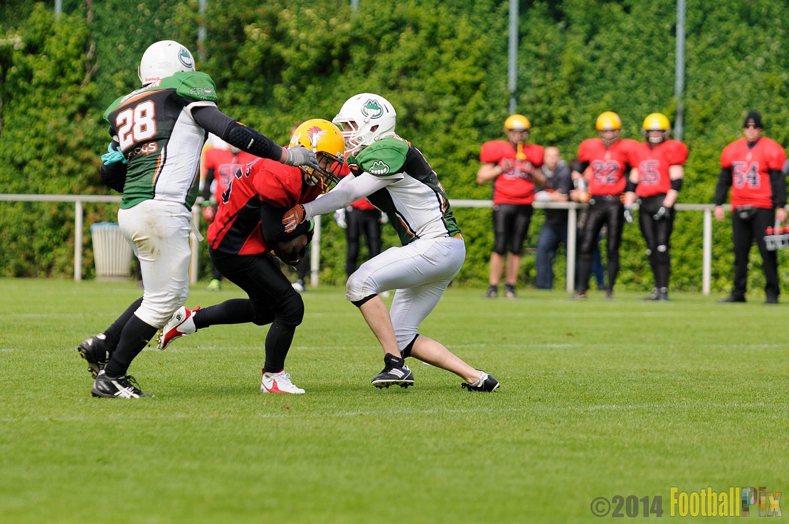  Neuss Frogs vs. Aachen/Düren Demons - 11.05.2014 Neuss Frogs vs. Aachen/Düren Demons (6:14) 