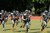 Cologne Falcons vs. Kiel Baltic Hurricanes - 11.05.2014 GFL Nord: Cologne Falcons vs. Kiel Baltic Hurricanes (28:11) 