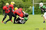  Neuss Frogs vs. Aachen/Düren Demons - 11.05.2014 Neuss Frogs vs. Aachen/Düren Demons (6:14) 