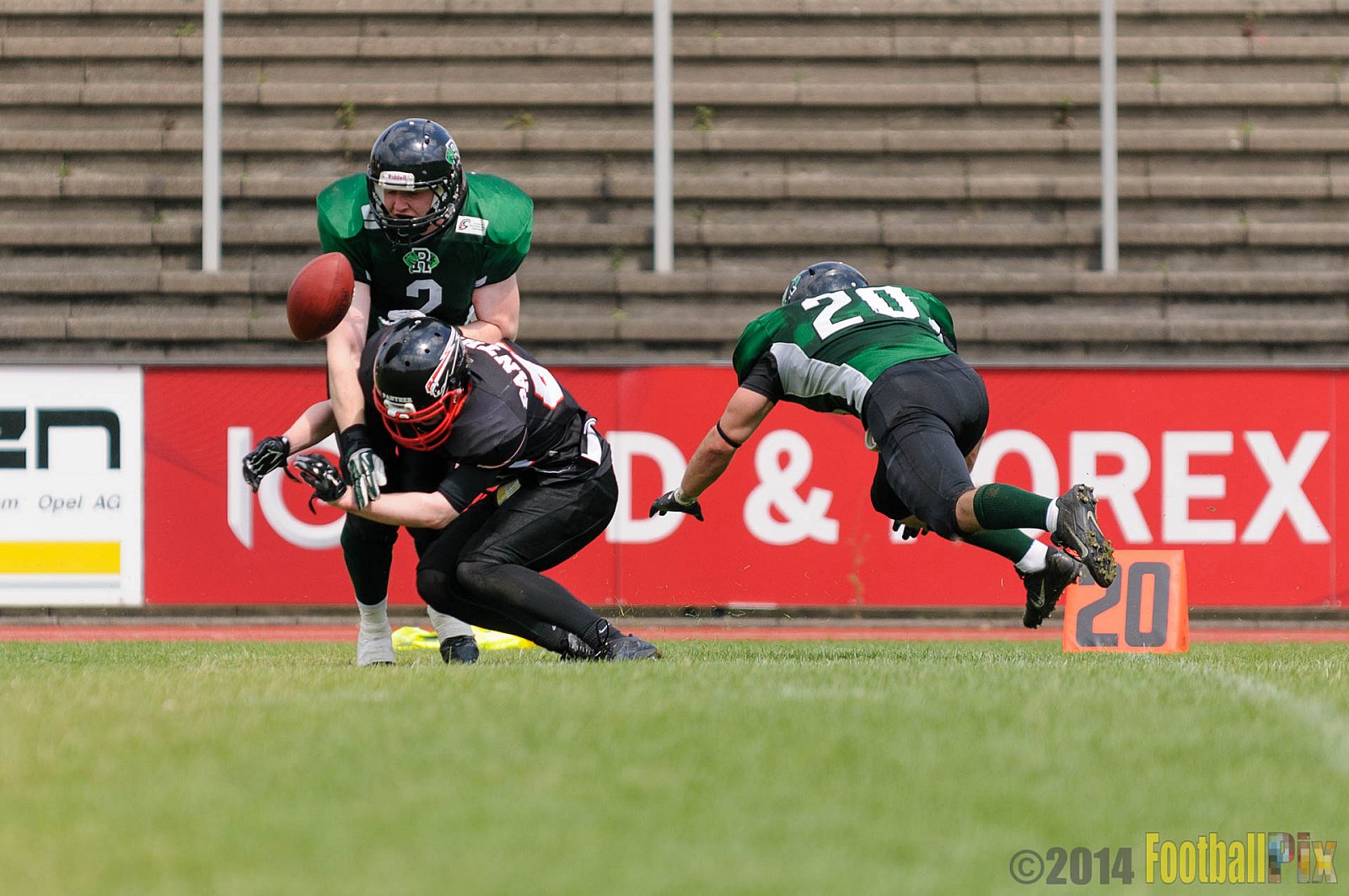 Düsseldorf Panther Prospects vs. Rheine Raptors - 15.06.2014 Düsseldorf Panther Prospects vs. Rheine Raptors (19:24) 