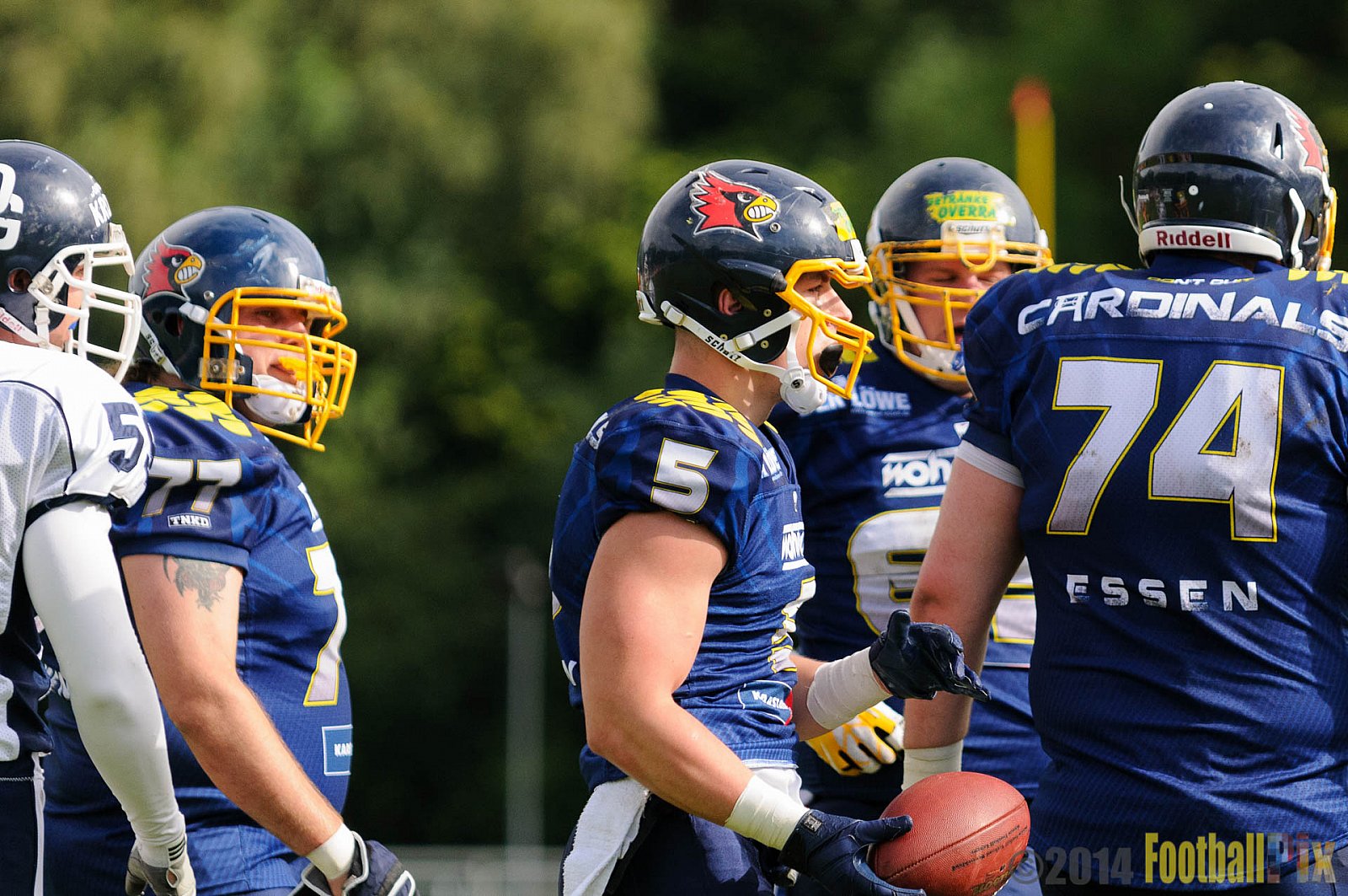 Essen Assindia Cardinals vs. Dortmund Giants - 05.07.2014 Essen Assindia Cardinals vs. Dortmund Giants (67:0) 