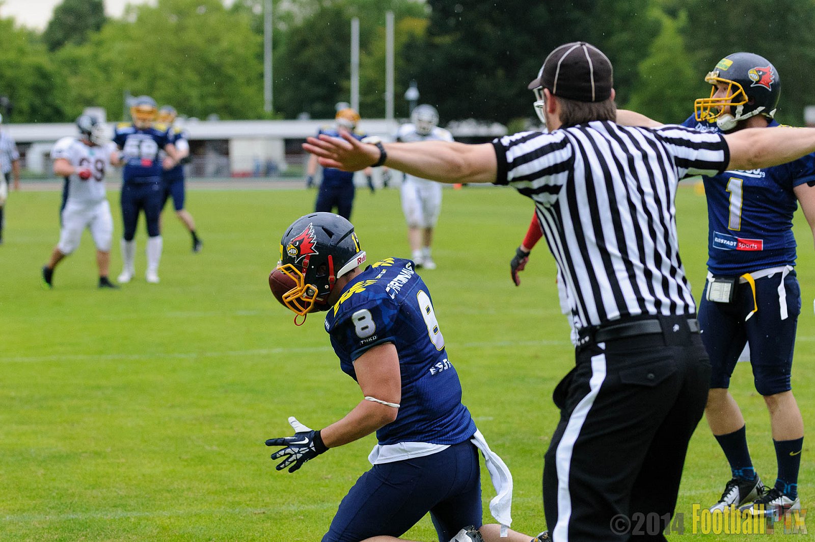 Essen Assindia Cardinals vs. Dortmund Giants - 05.07.2014 Essen Assindia Cardinals vs. Dortmund Giants (67:0) 