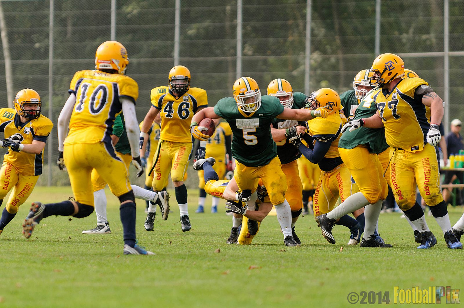 Cologne Crocodiles vs. Elmshorn Fighting Pirates - 12.07.2014 GFL2 Nord: Cologne Crocodiles vs. Elmshorn Fighting Pirates (43:12) 