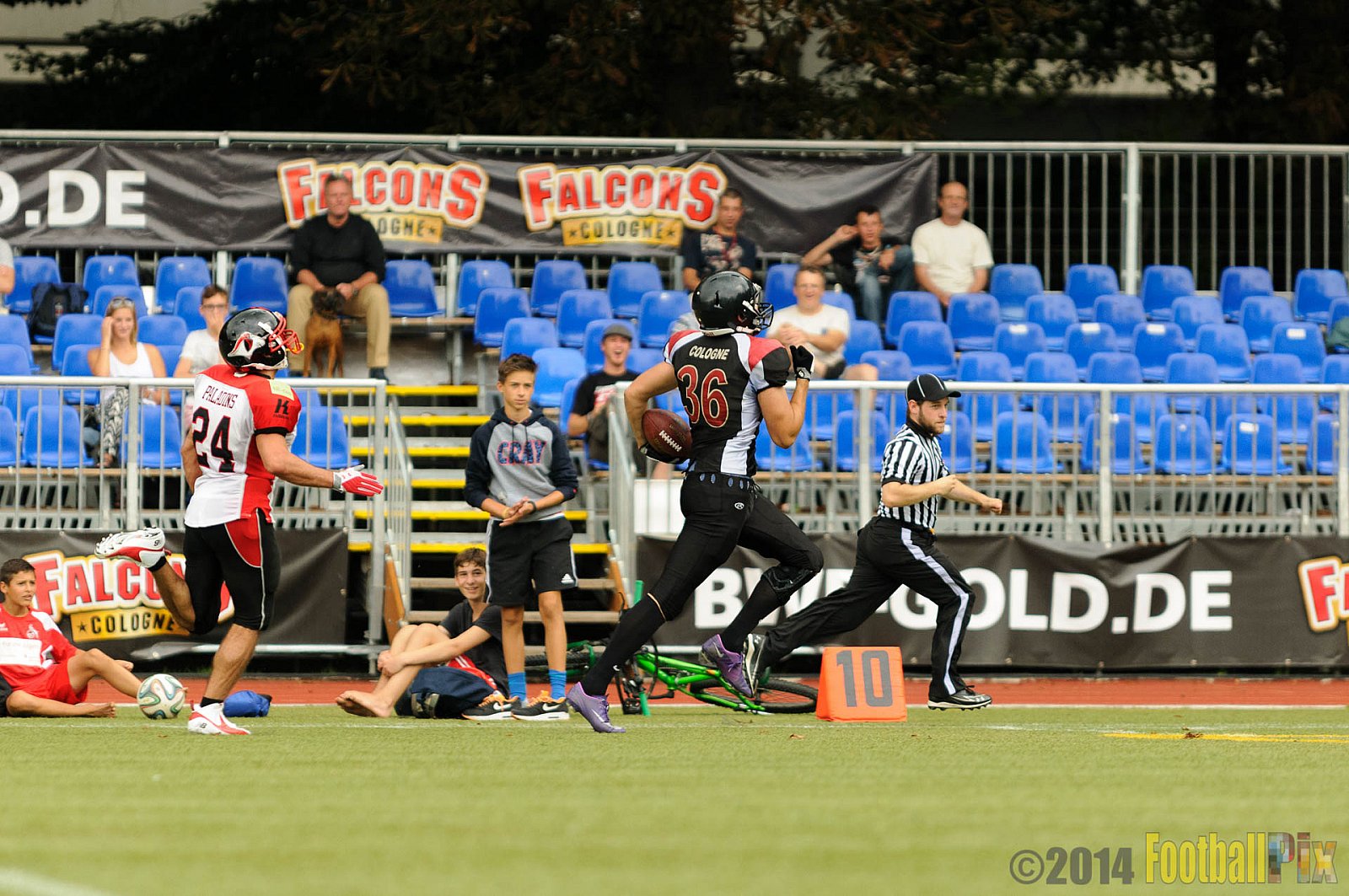 Cologne Falcons II vs. Solingen Paladins - 03.08.2014 Cologne Falcons II vs. Solingen Paladins (34:14) 