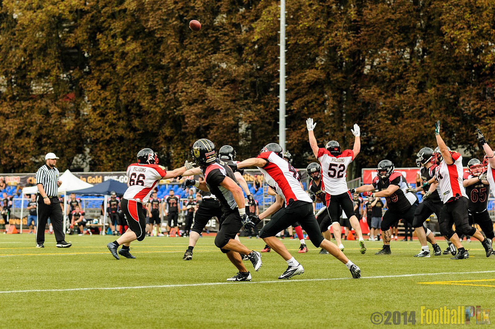 Cologne Falcons II vs. Solingen Paladins - 03.08.2014 Cologne Falcons II vs. Solingen Paladins (34:14) 