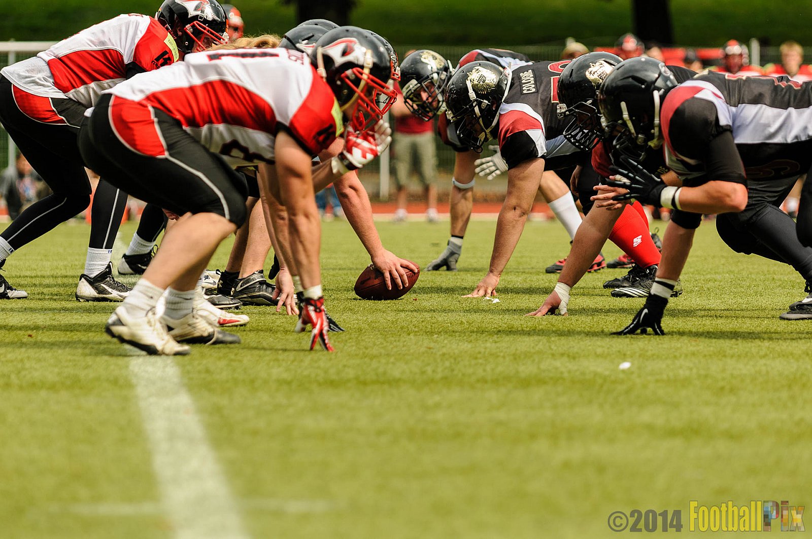 Cologne Falcons II vs. Solingen Paladins - 03.08.2014 Cologne Falcons II vs. Solingen Paladins (34:14) 