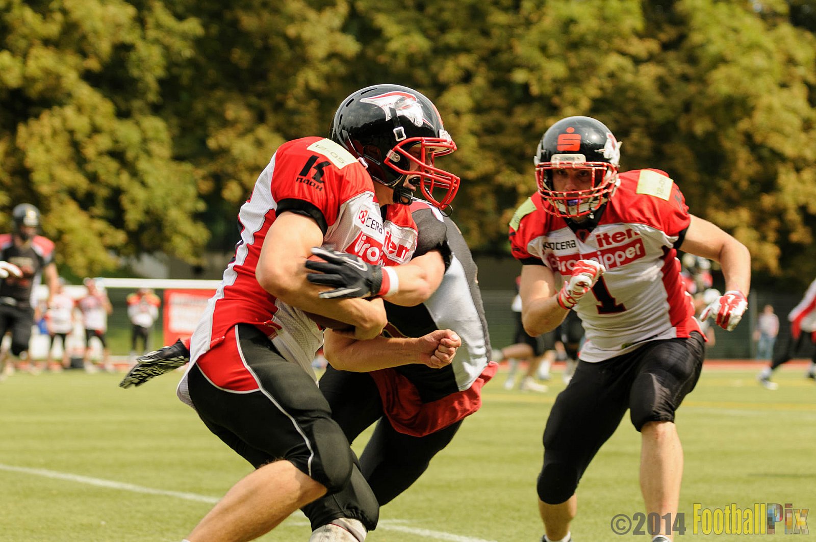 Cologne Falcons II vs. Solingen Paladins - 03.08.2014 Cologne Falcons II vs. Solingen Paladins (34:14) 