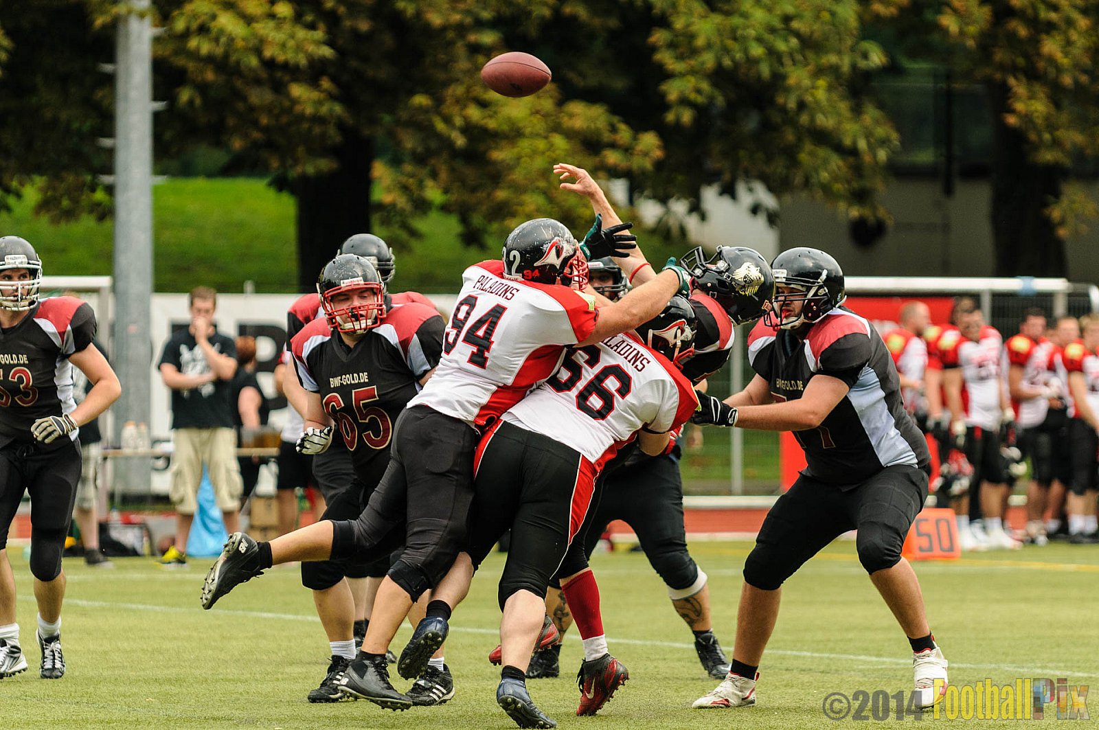 Cologne Falcons II vs. Solingen Paladins - 03.08.2014 Cologne Falcons II vs. Solingen Paladins (34:14) 