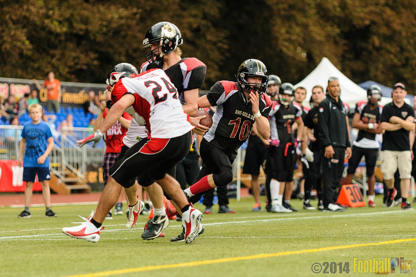 Cologne Falcons II vs. Solingen Paladins - 03.08.2014 Cologne Falcons II vs. Solingen Paladins (34:14) 