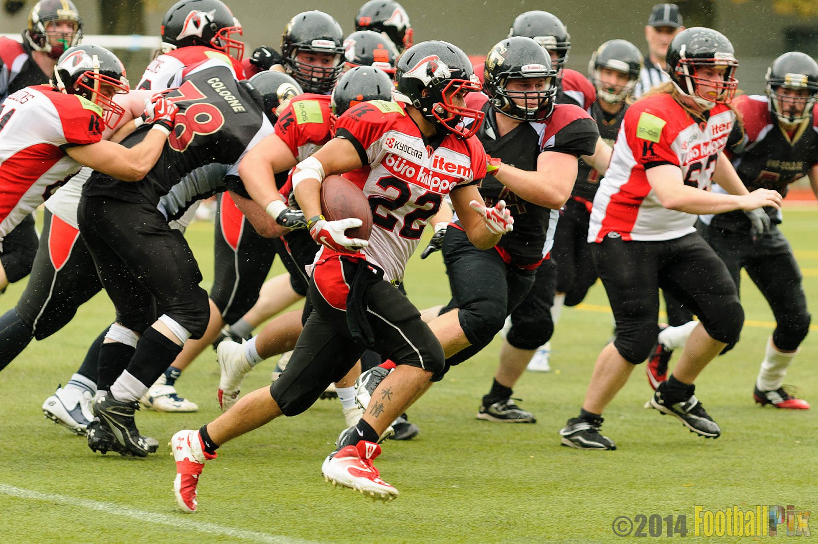 Cologne Falcons II vs. Solingen Paladins - 03.08.2014 Cologne Falcons II vs. Solingen Paladins (34:14) 