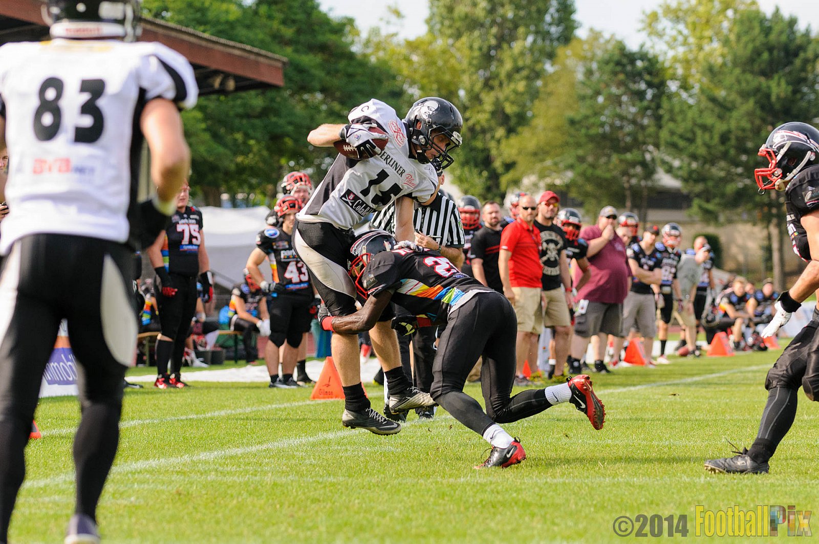 Düsseldorf Panther vs. Berlin Rebels - 09.08.2014 GFL Nord: Düsseldorf Panther vs. Berlin Rebels (29:34) 