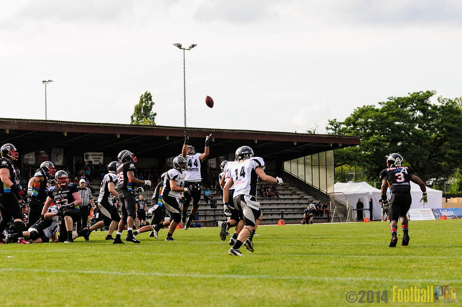 Düsseldorf Panther vs. Berlin Rebels - 09.08.2014 GFL Nord: Düsseldorf Panther vs. Berlin Rebels (29:34) 