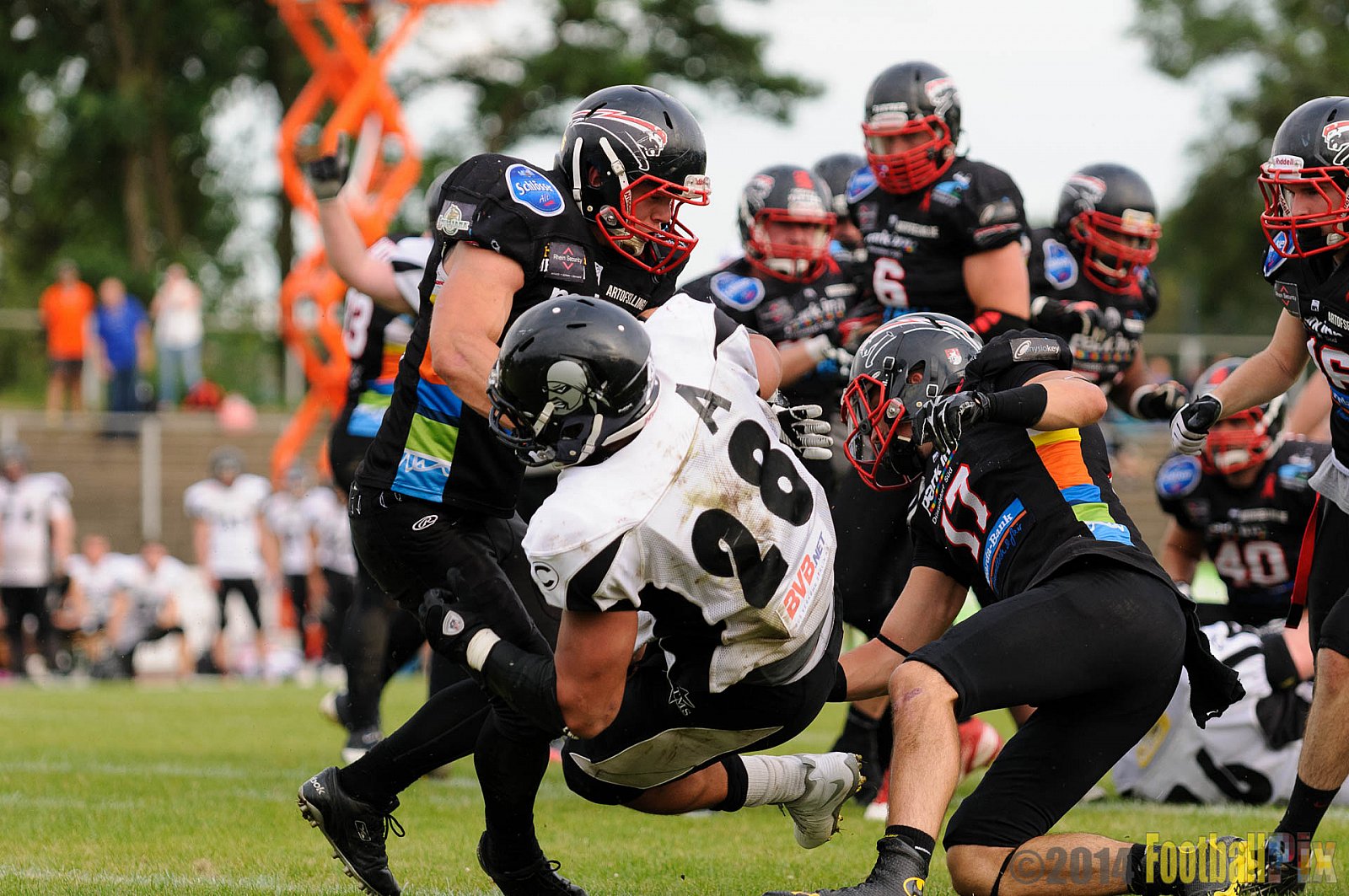 Düsseldorf Panther vs. Berlin Rebels - 09.08.2014 GFL Nord: Düsseldorf Panther vs. Berlin Rebels (29:34) 