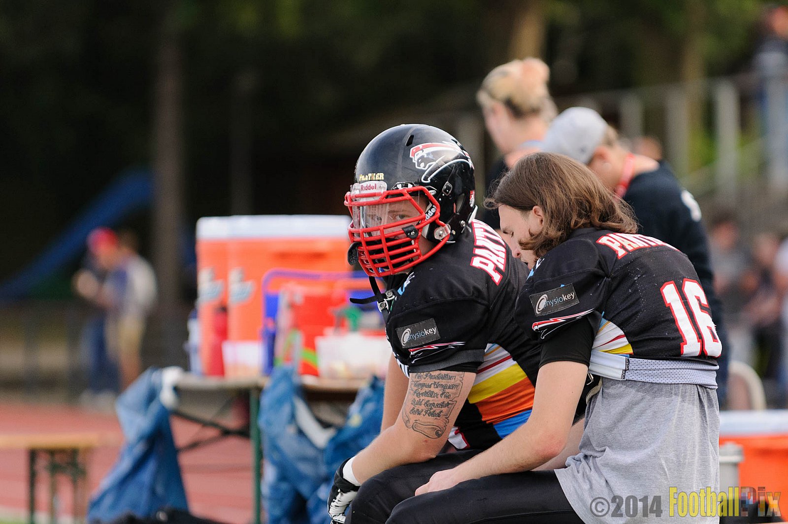 Düsseldorf Panther vs. Berlin Rebels - 09.08.2014 GFL Nord: Düsseldorf Panther vs. Berlin Rebels (29:34) 