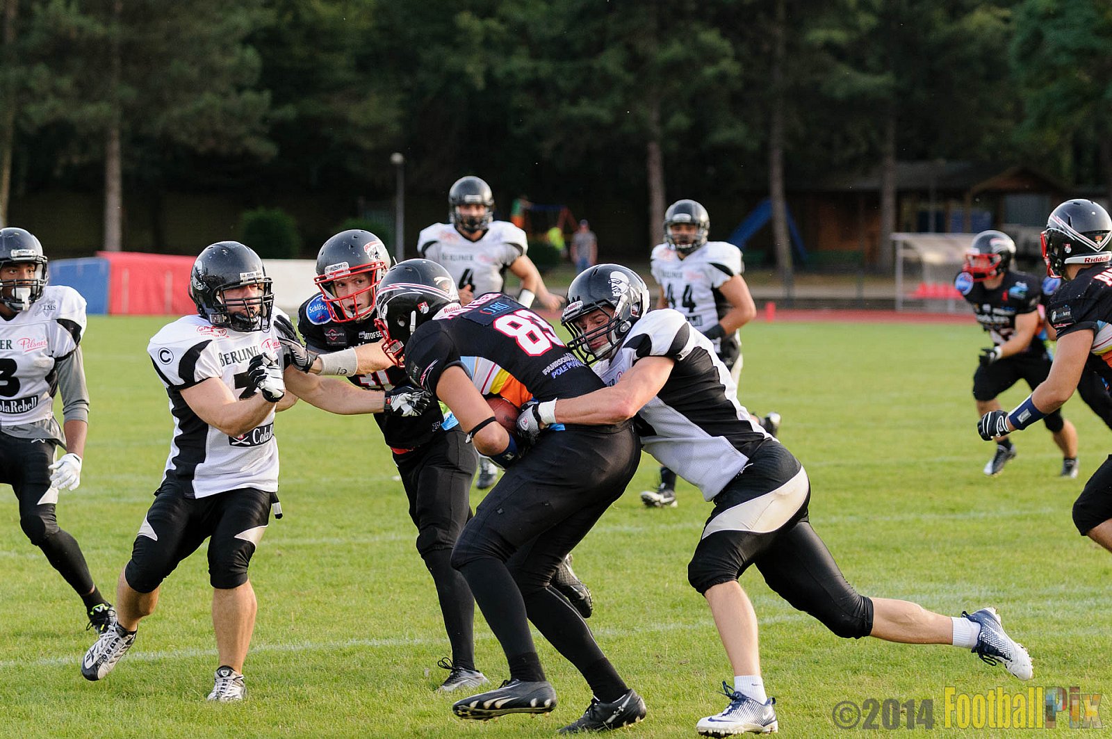 Düsseldorf Panther vs. Berlin Rebels - 09.08.2014 GFL Nord: Düsseldorf Panther vs. Berlin Rebels (29:34) 