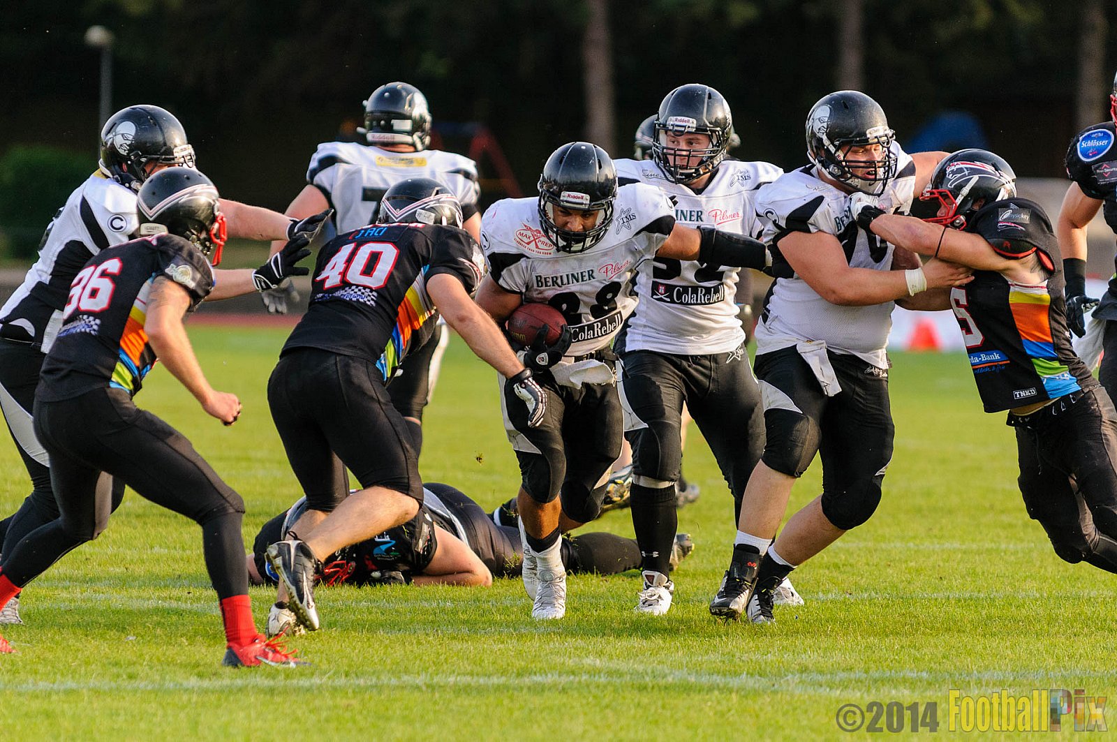 Düsseldorf Panther vs. Berlin Rebels - 09.08.2014 GFL Nord: Düsseldorf Panther vs. Berlin Rebels (29:34) 
