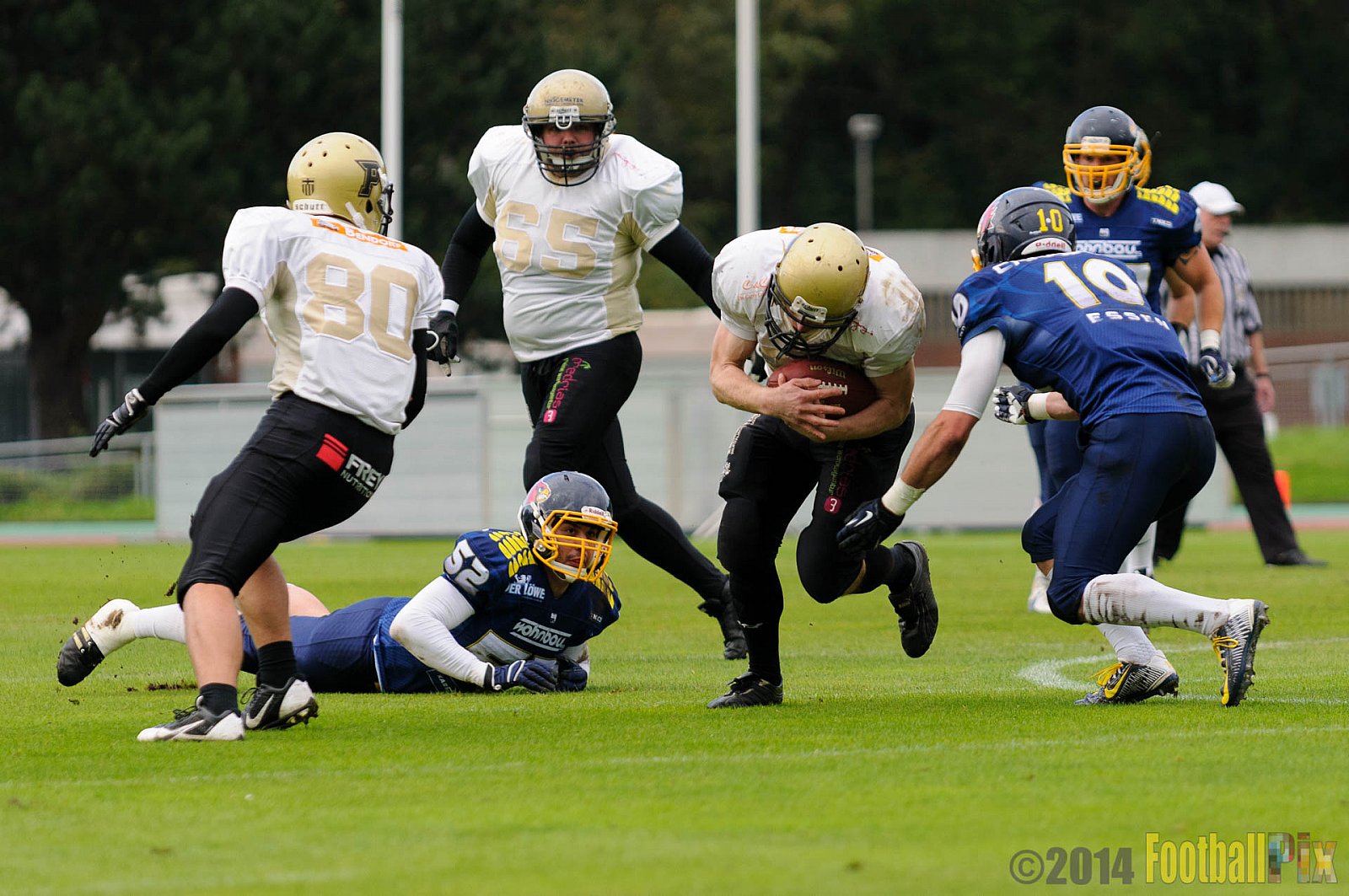 Essen Assindia Cardinals vs. Paderborn Dolphins - 23.08.2014 Essen Assindia Cardinals vs. Paderborn Dolphins (7:35) 