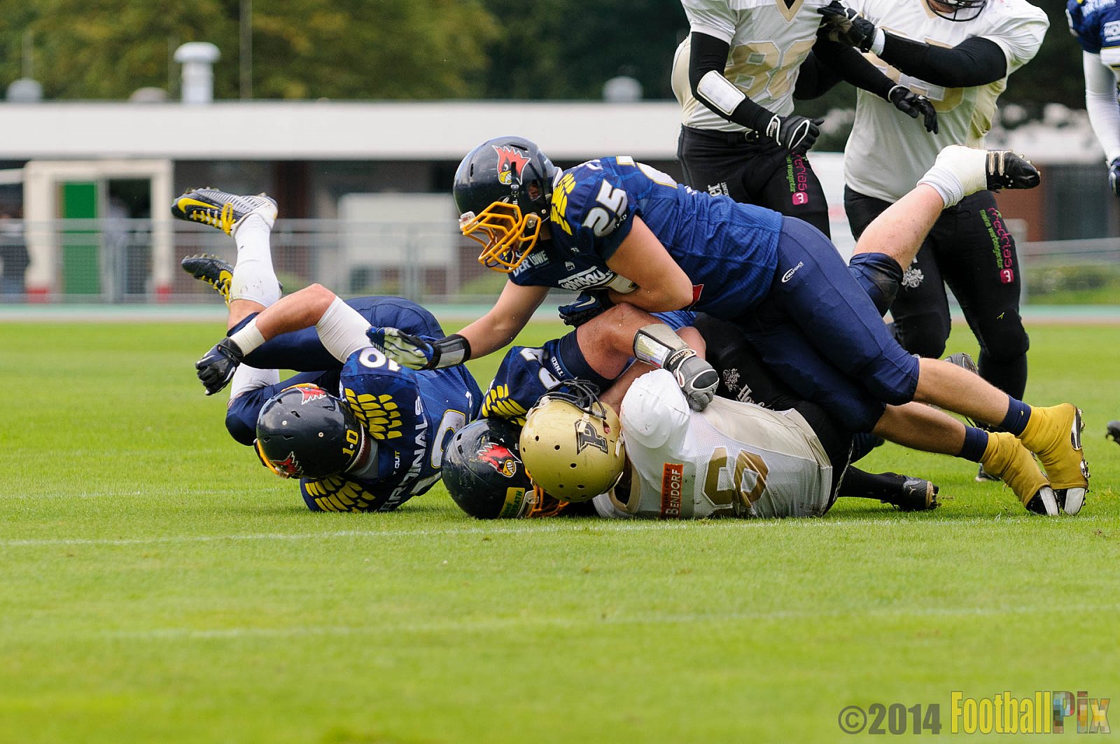 Essen Assindia Cardinals vs. Paderborn Dolphins - 23.08.2014 Essen Assindia Cardinals vs. Paderborn Dolphins (7:35) 